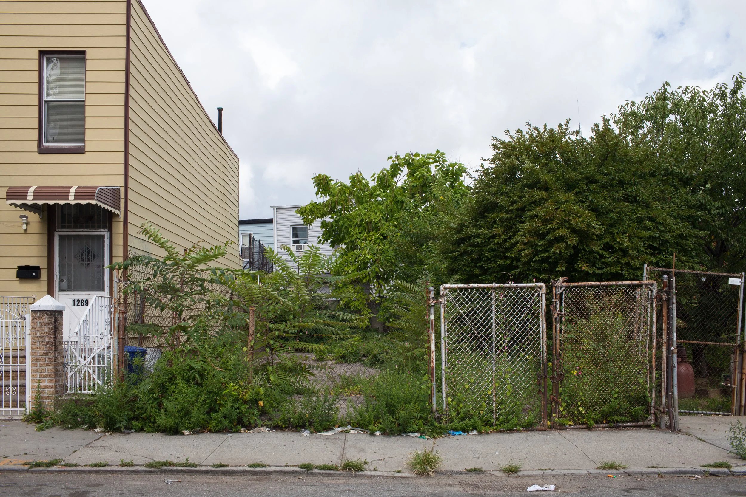 Feral Landscape Typologies