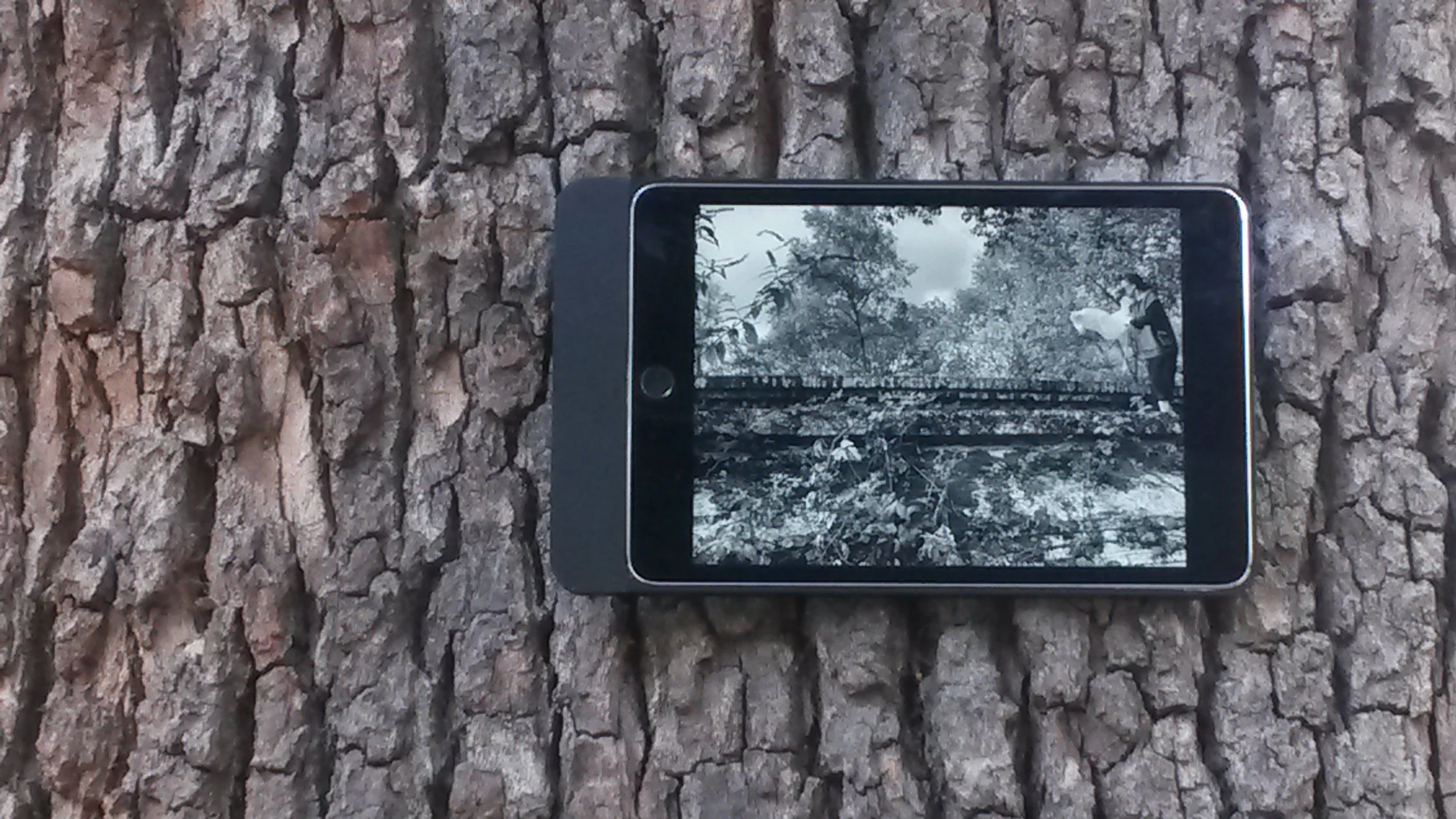 Oona Grimes & Tony Grisoni – Muskaan Singh