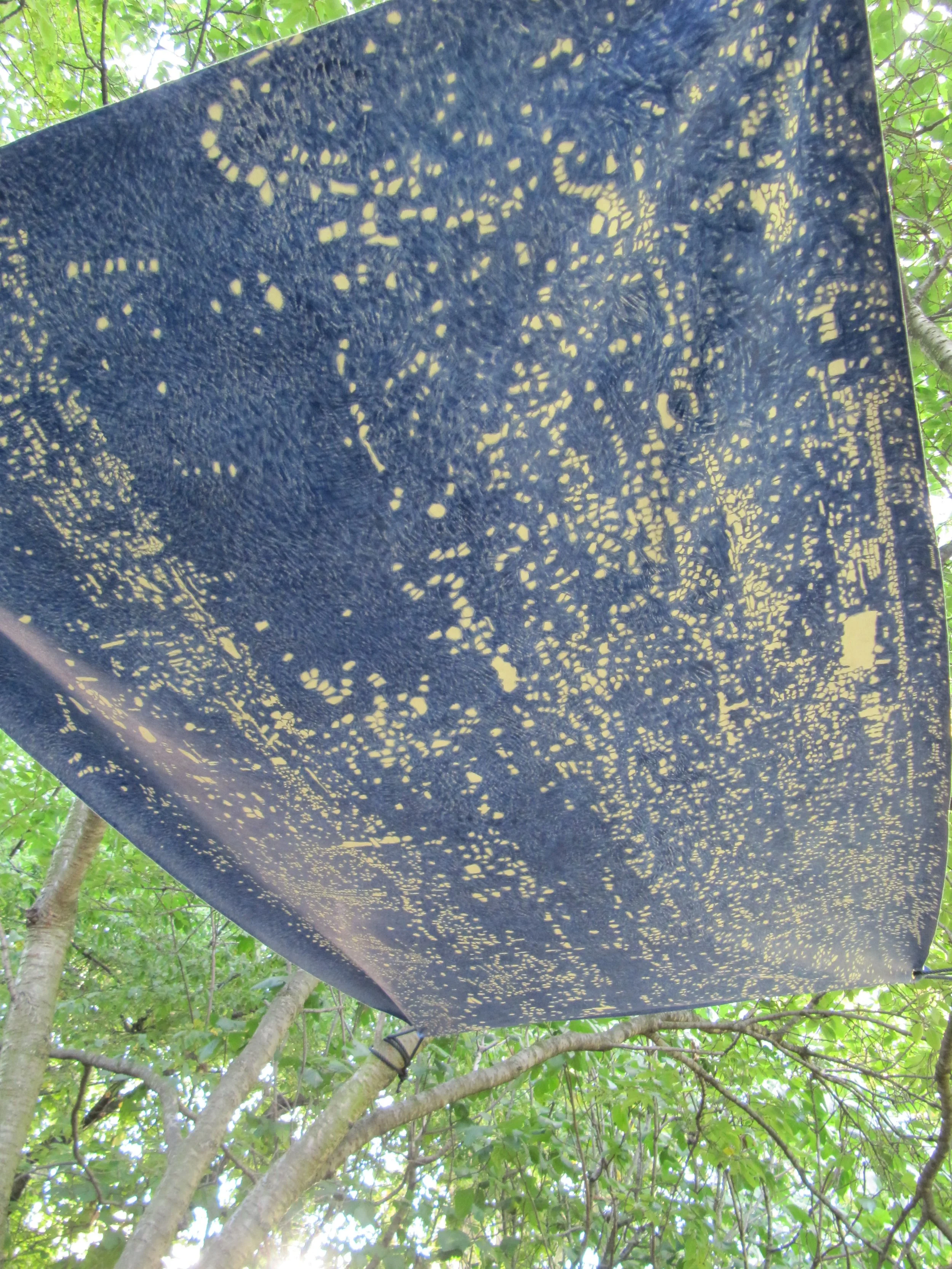 Canopy (Damascus–Tirana–Berlin–Toronto), part of an ongoing series