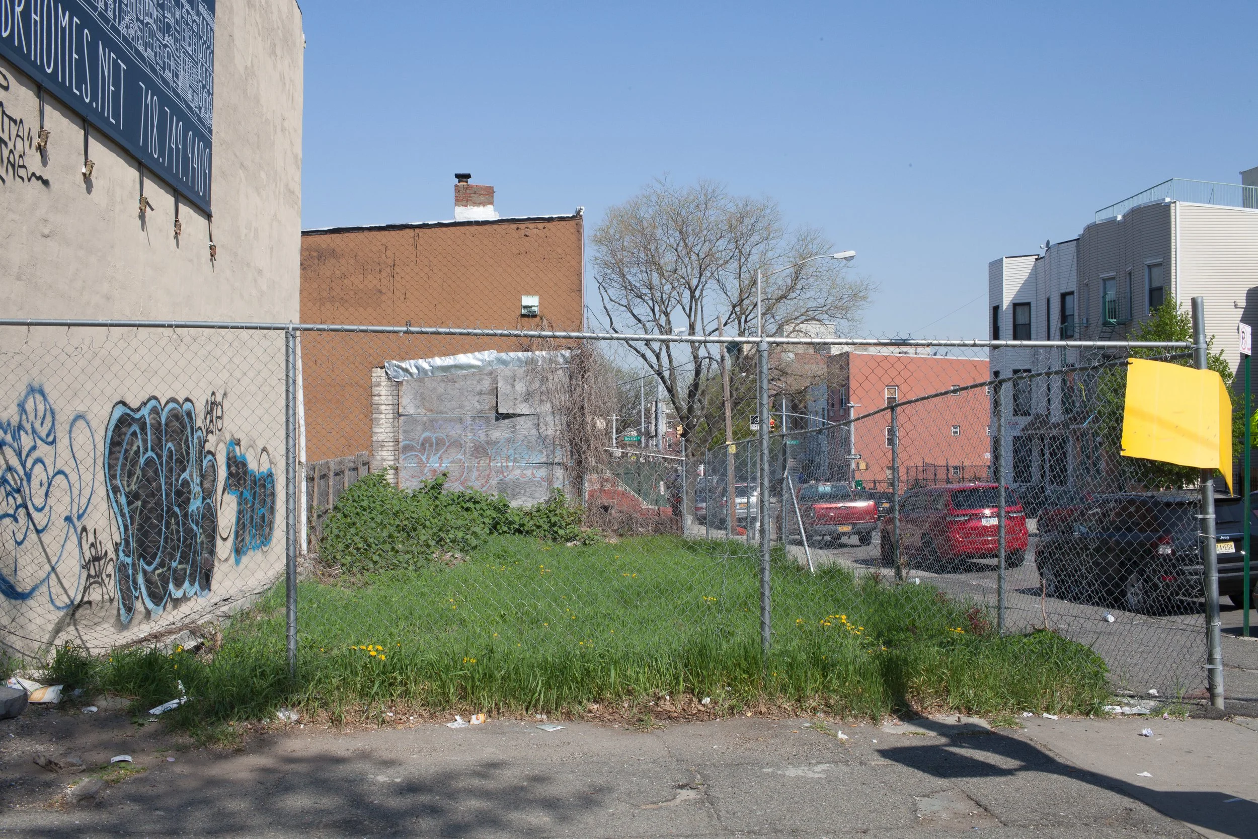 Feral Landscape Typologies