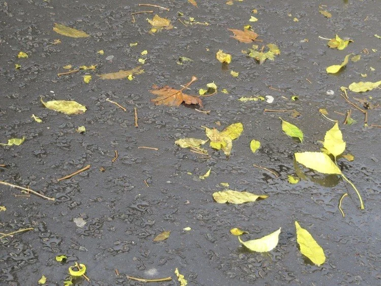 Changeable Conditions, 2012