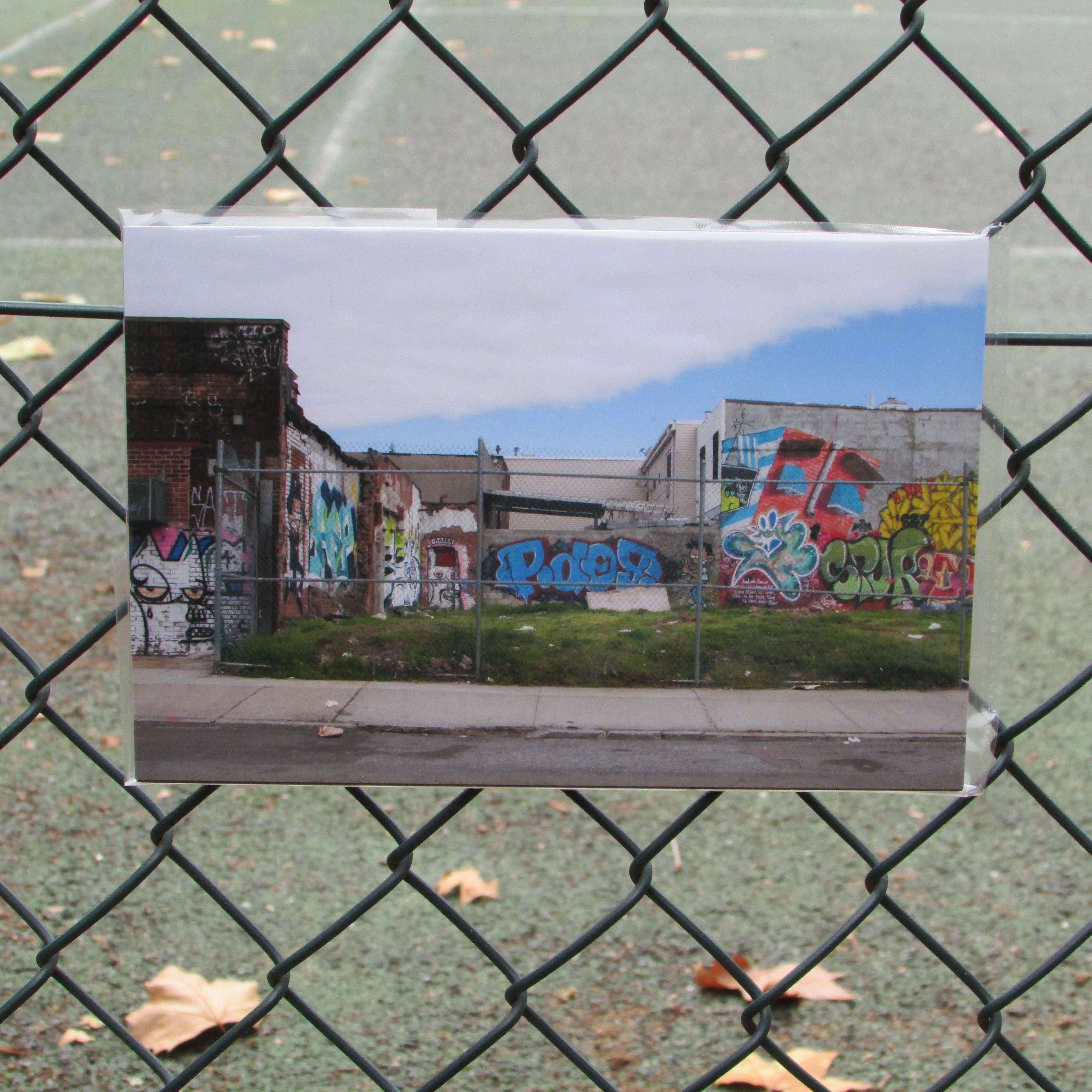 Feral Landscape Typologies