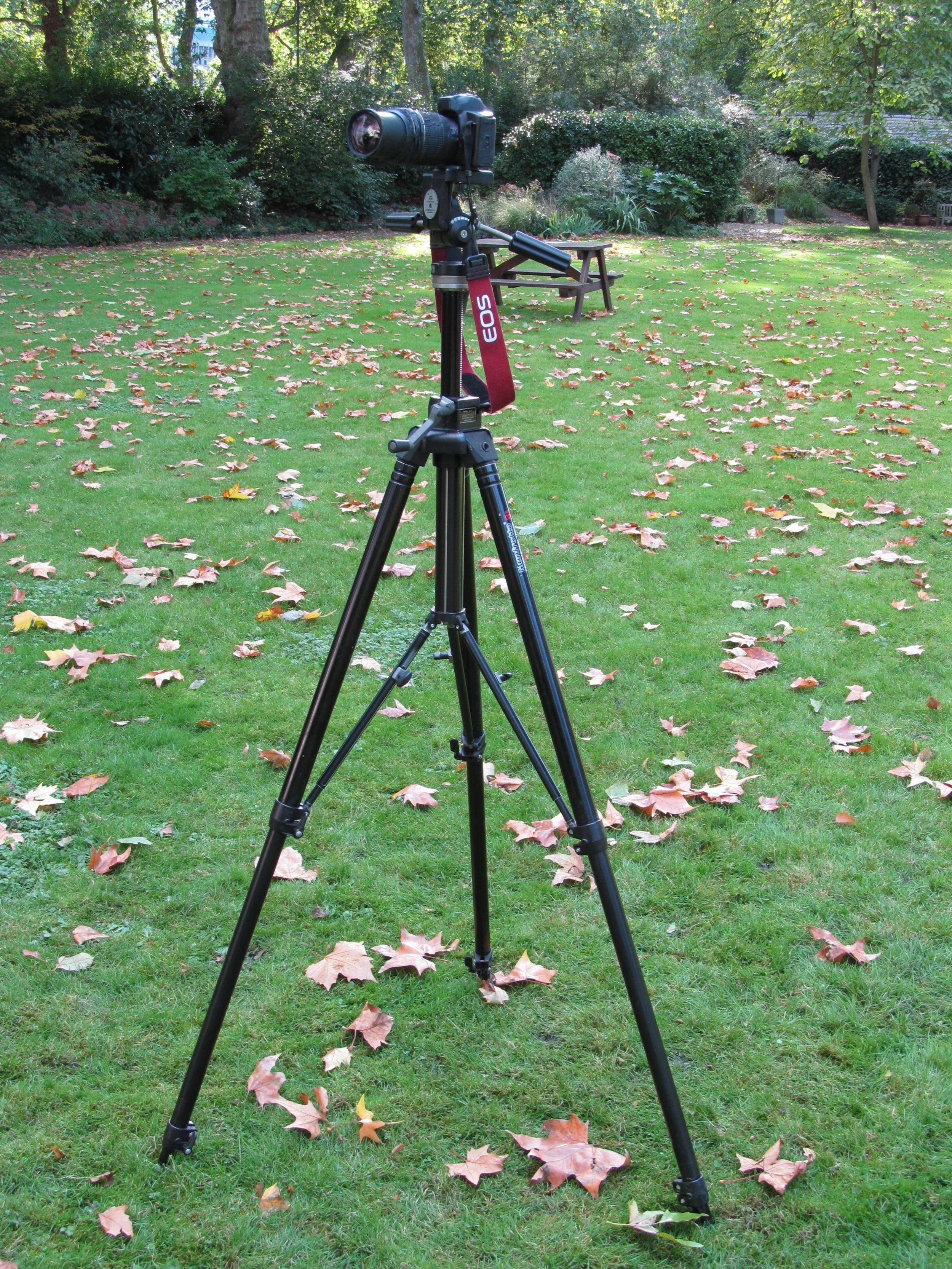 Canon E0S 100