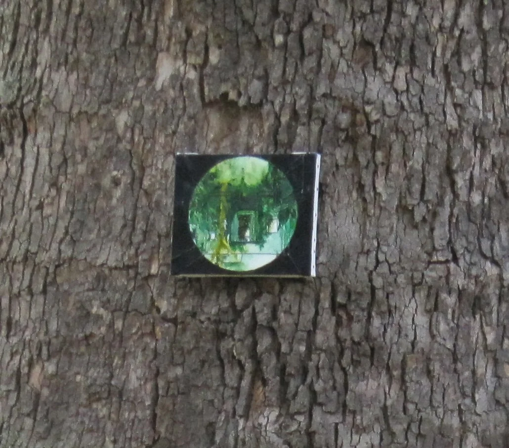 Portals (detail)