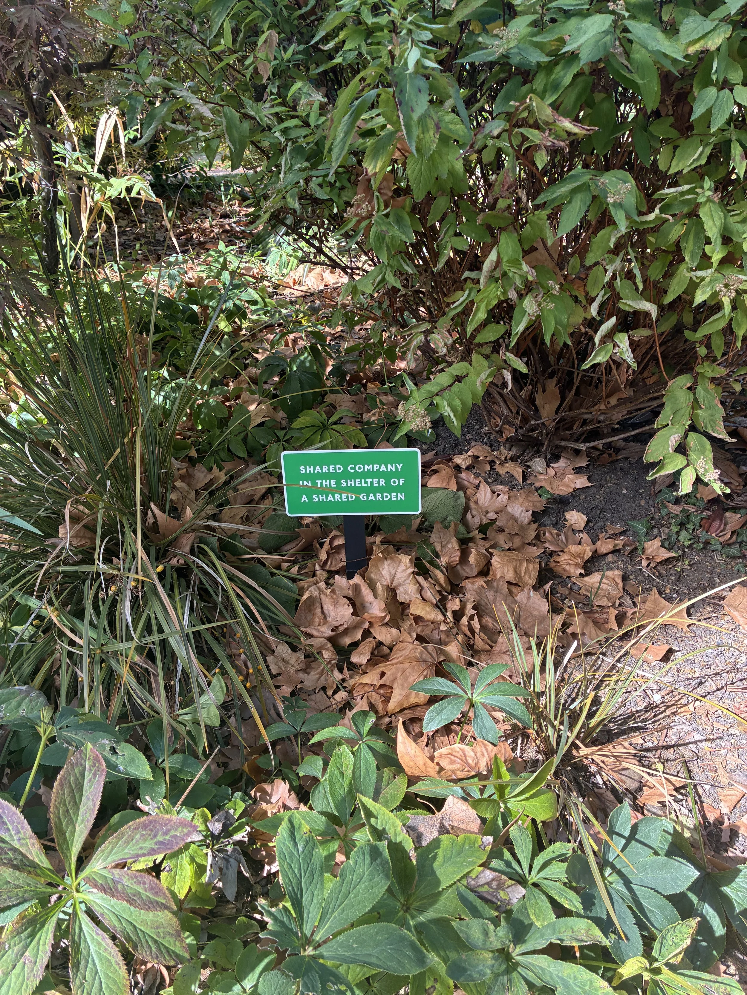 Shared company in the shelter of a shared garden