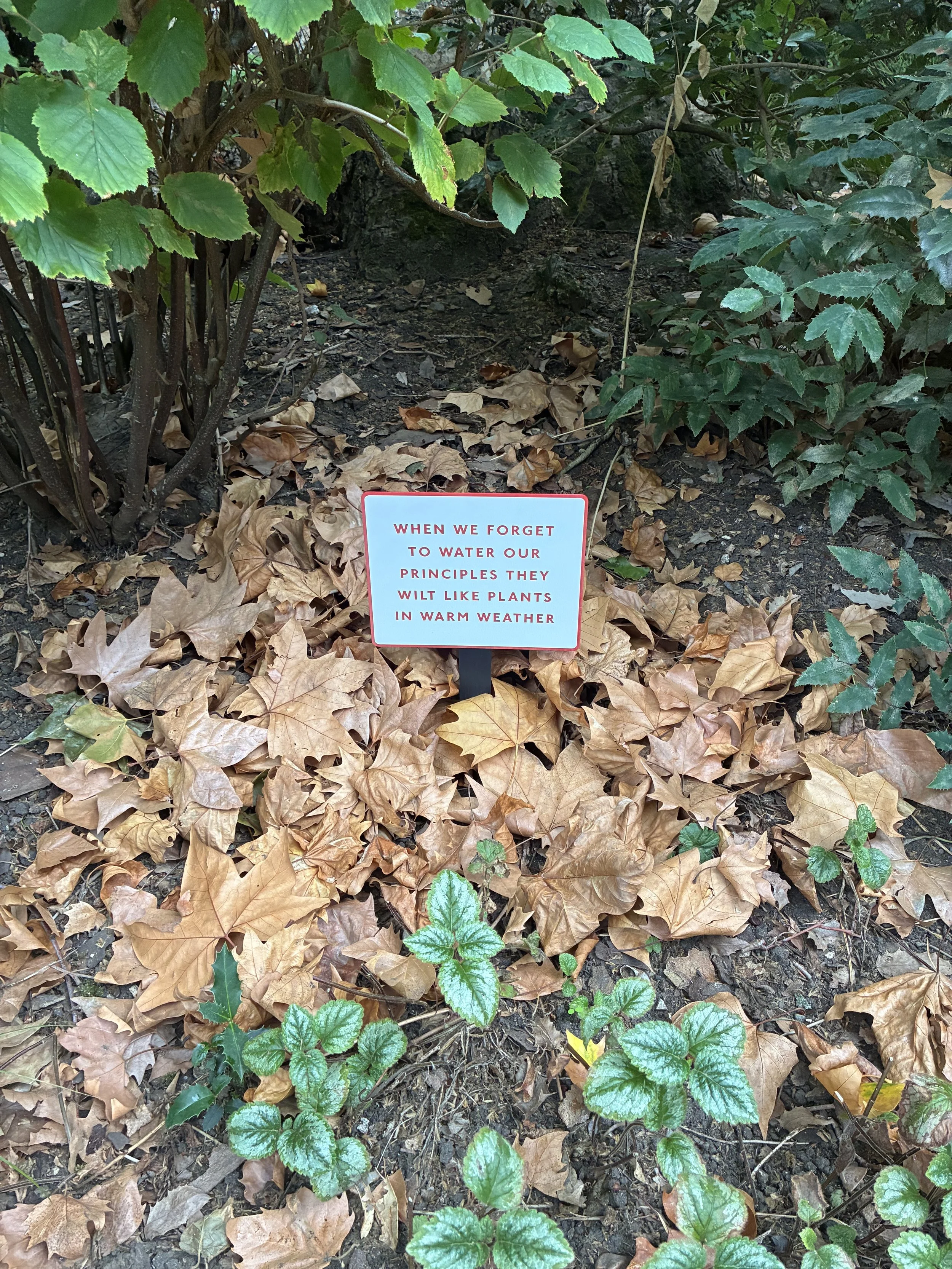 When we forget to water our principles they wilt like plants in warm weather