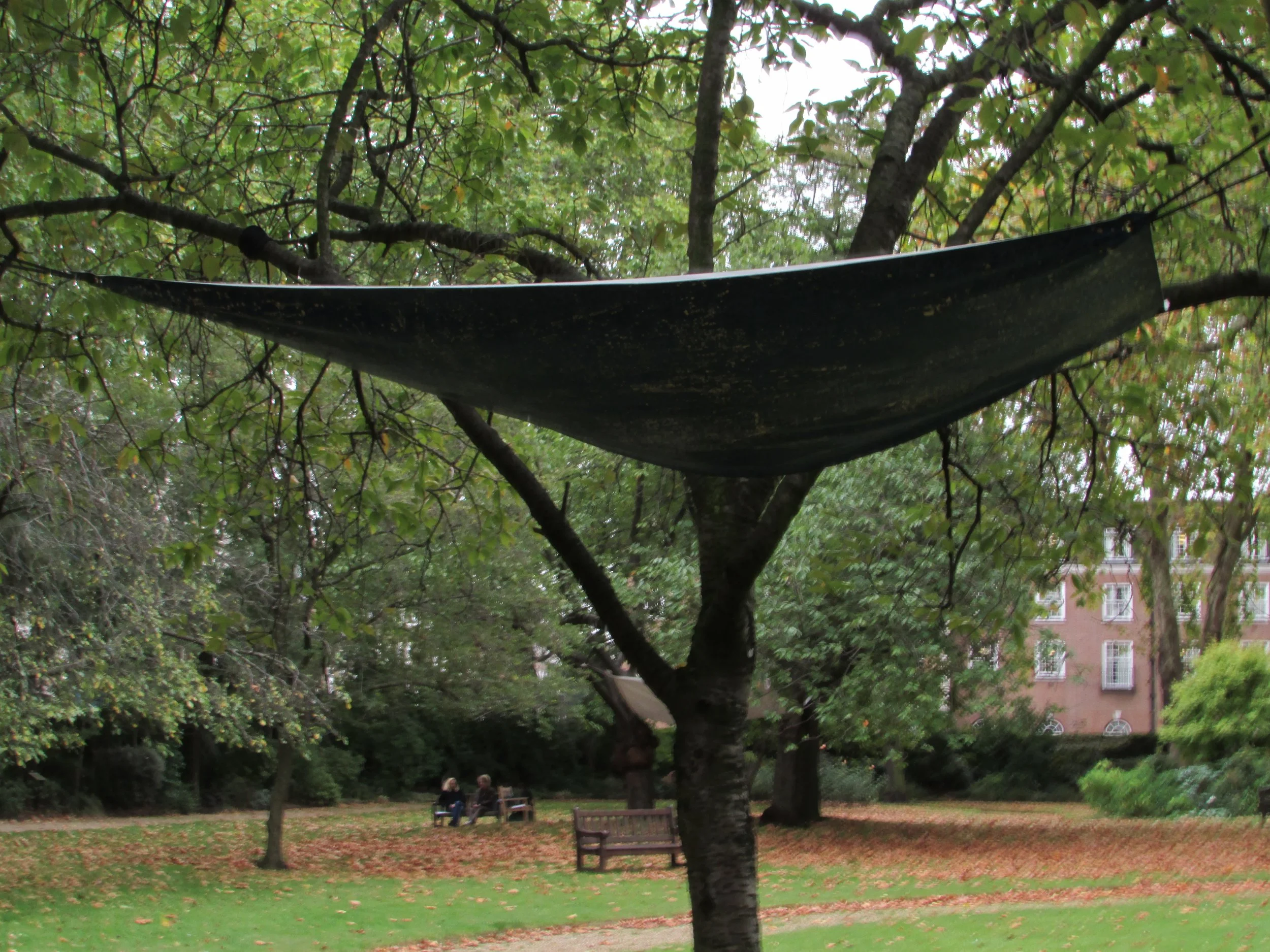 Canopy (Beijing – Rio de Janeiro – London – Hong Kong), part of an ongoing series