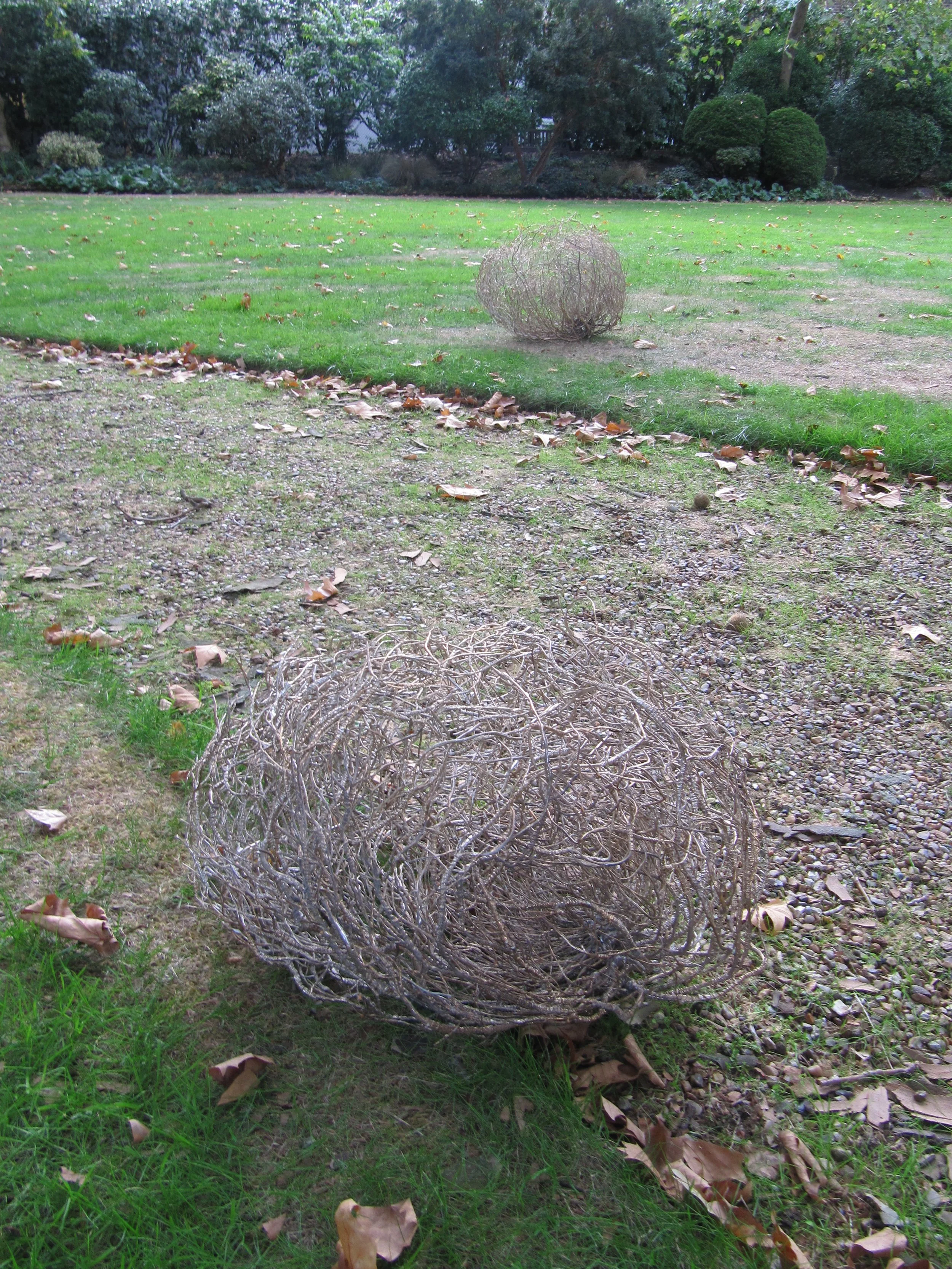 Alison Gill, Mecklenburgh Square Garden Project, 2018. 1.JPG