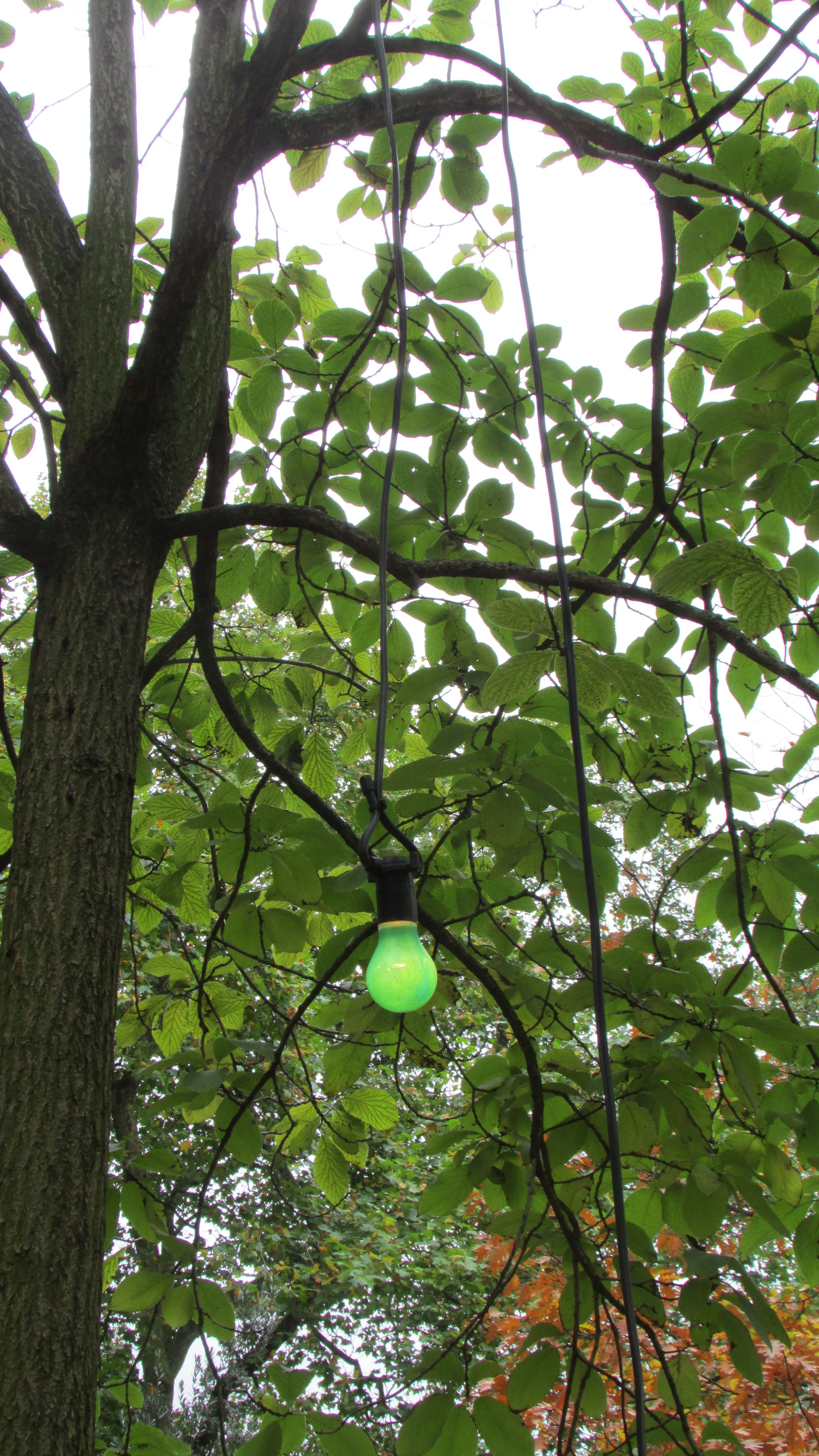 On On Air (Green Act)