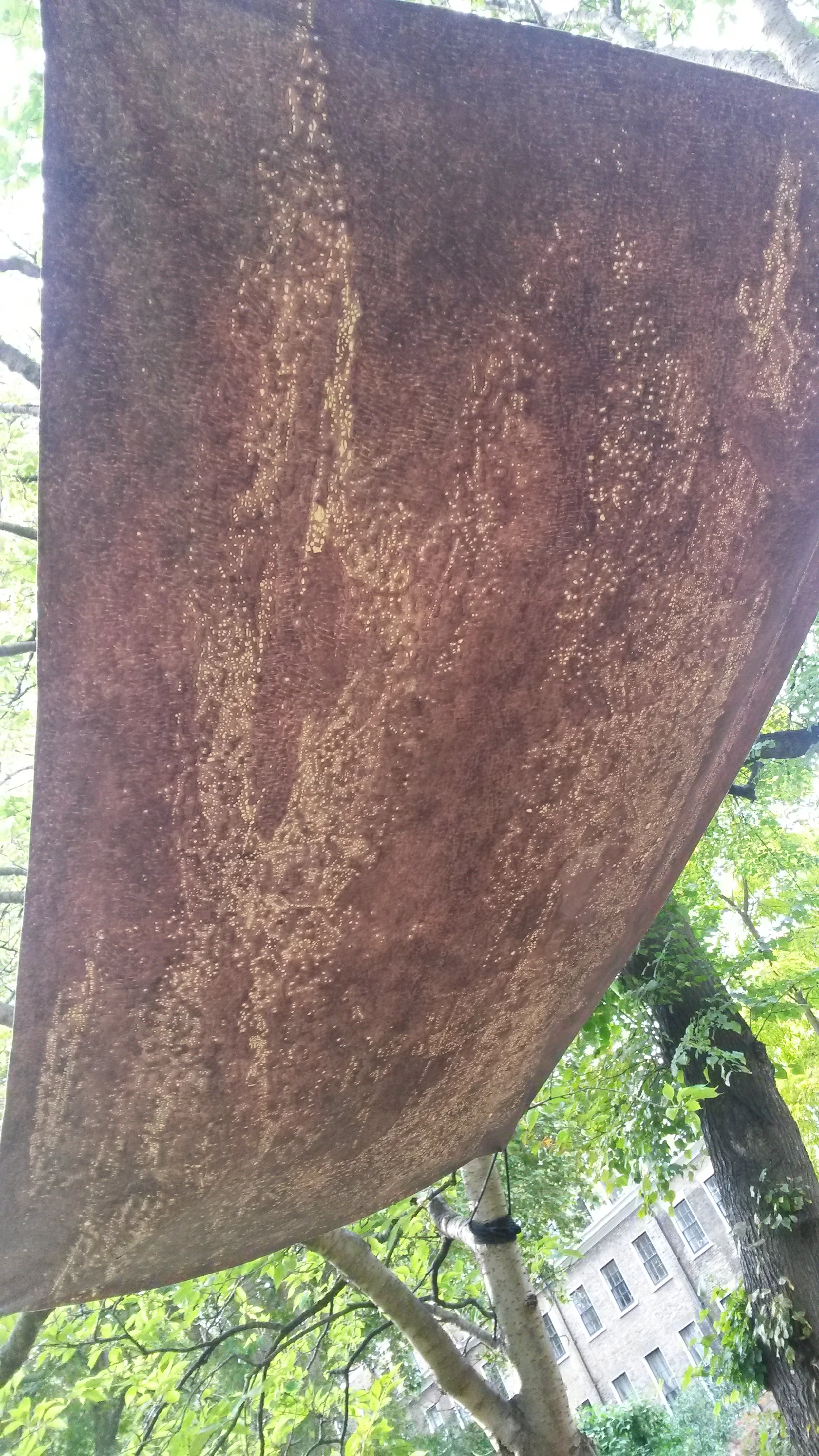 Canopy (Lhasa–Toronto–Tunis–Bridgetown)