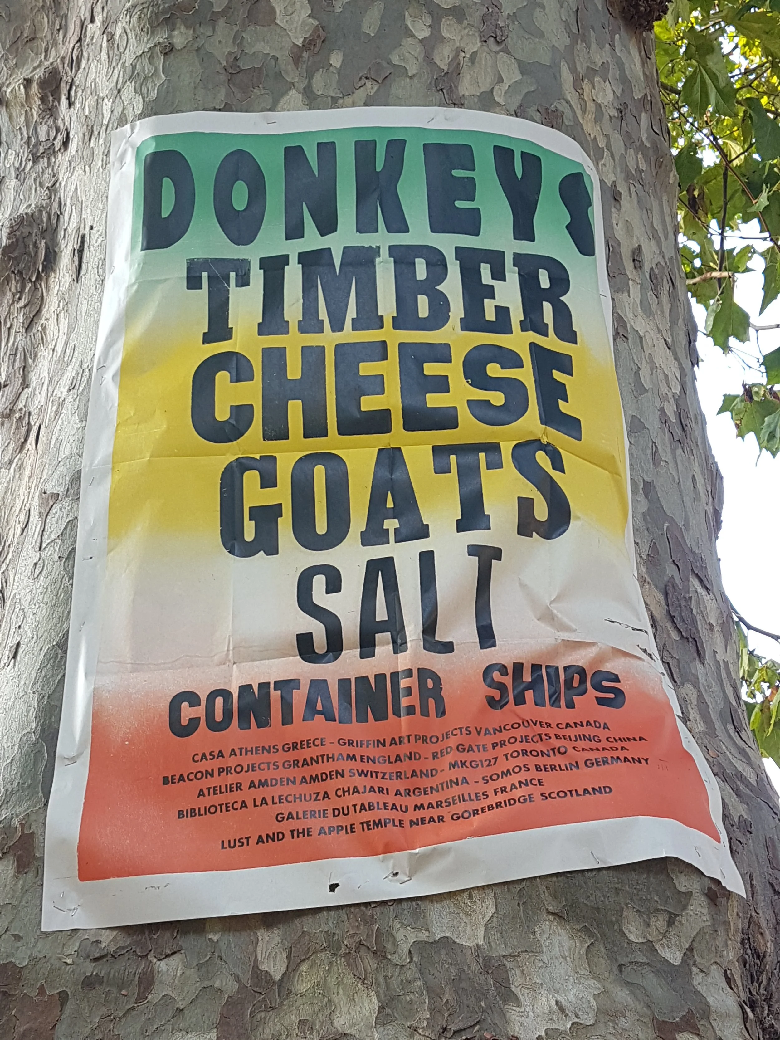 The Salt, the Milk, the Honey