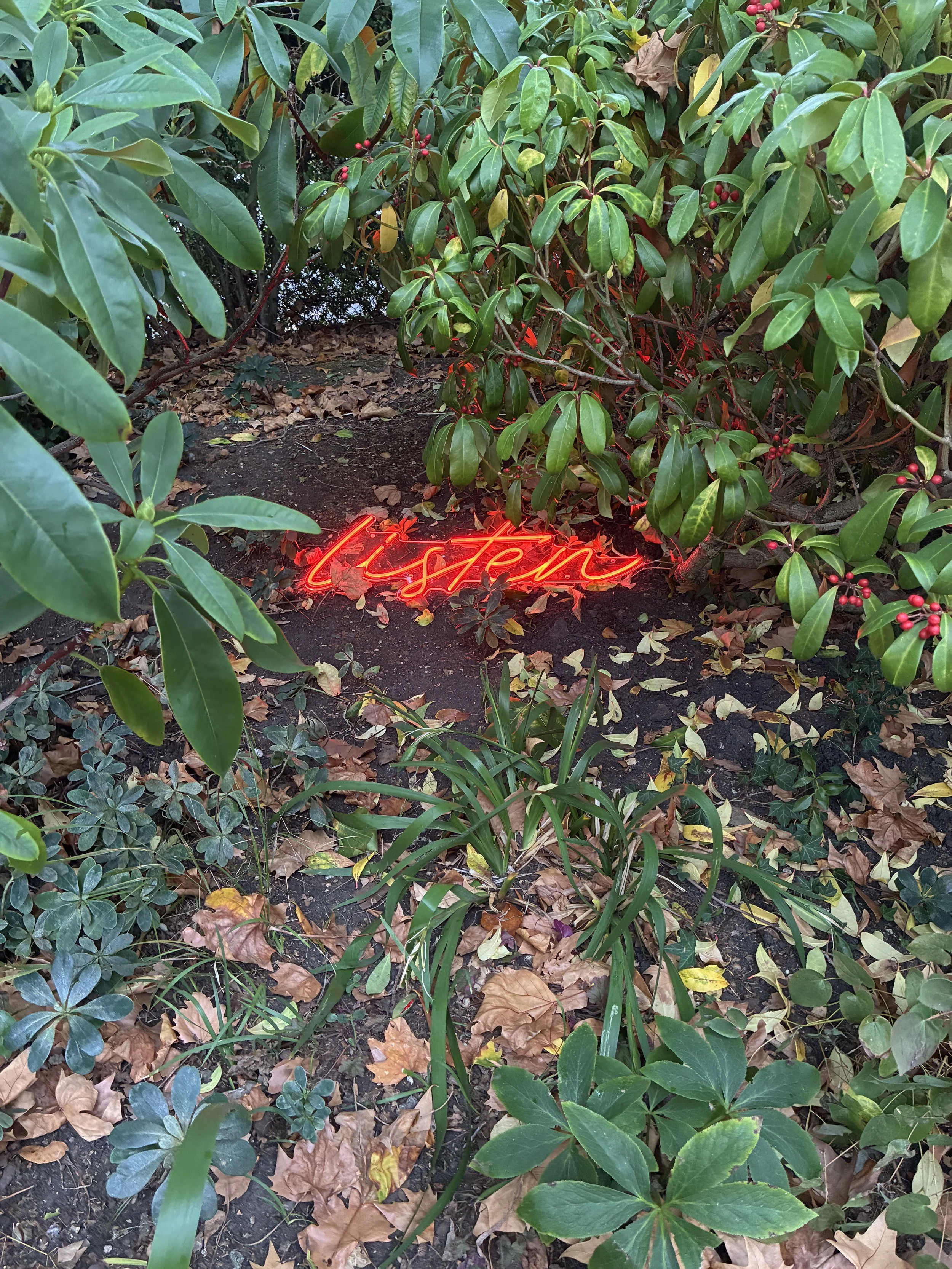 Listen (situation 3, Mecklenburgh Square Garden)
