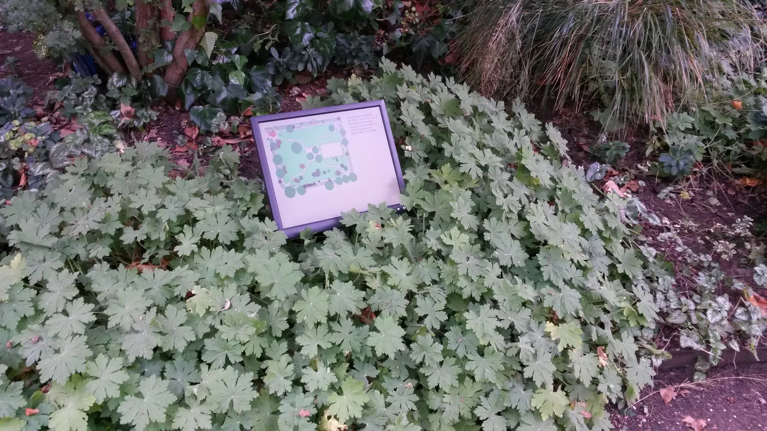 Future Gardens