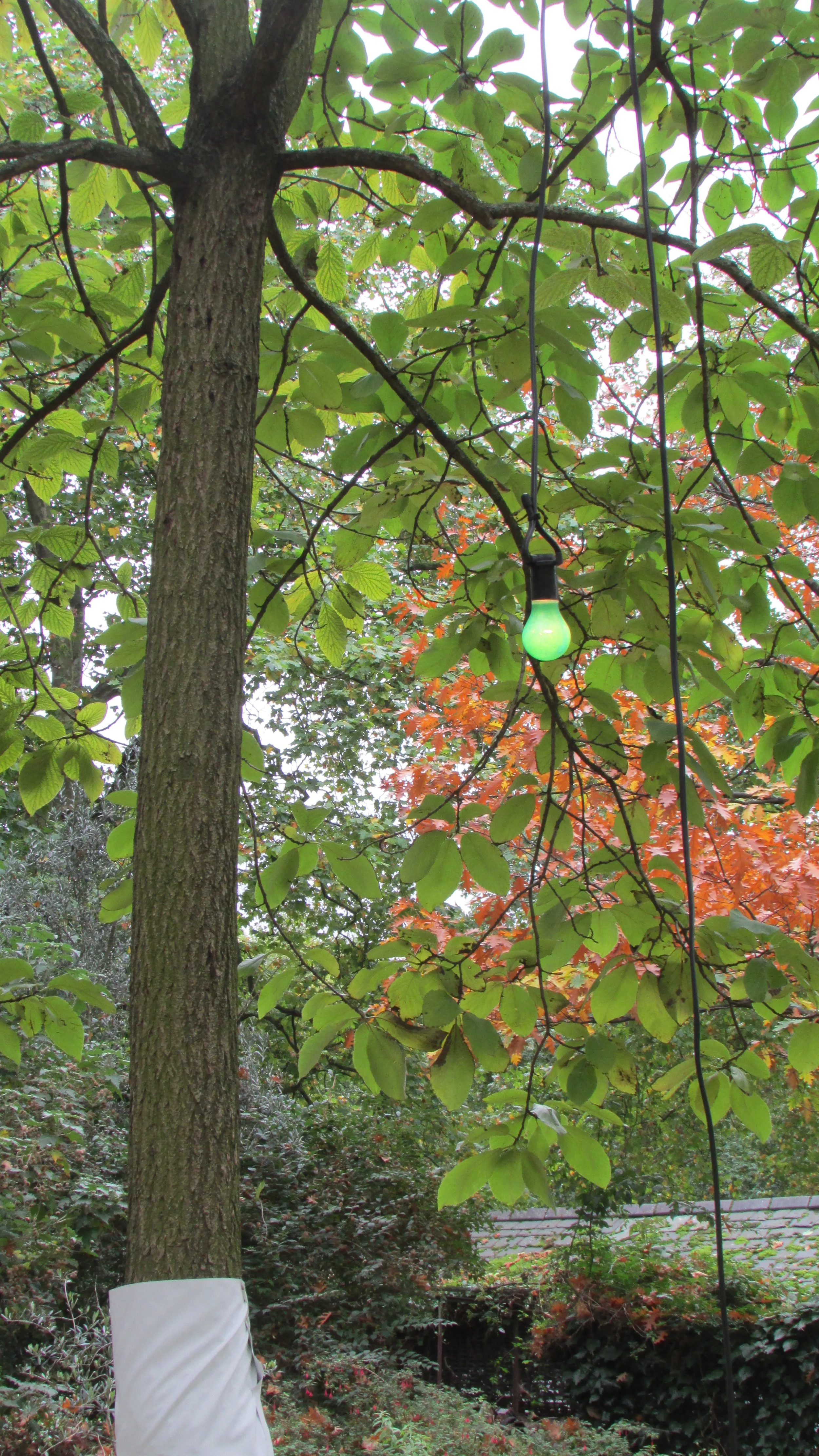 On On Air (Green Act)