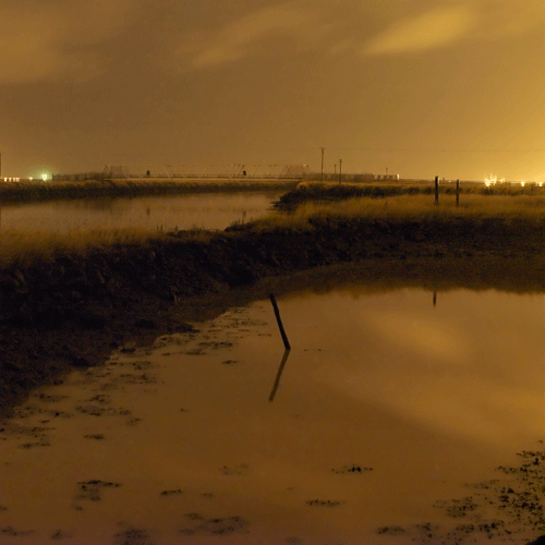 from Backwater