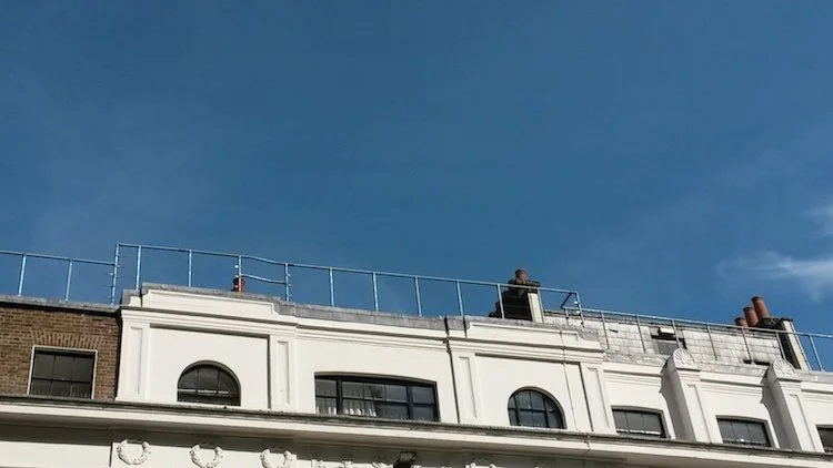 Blue Sky Gardening, 2021