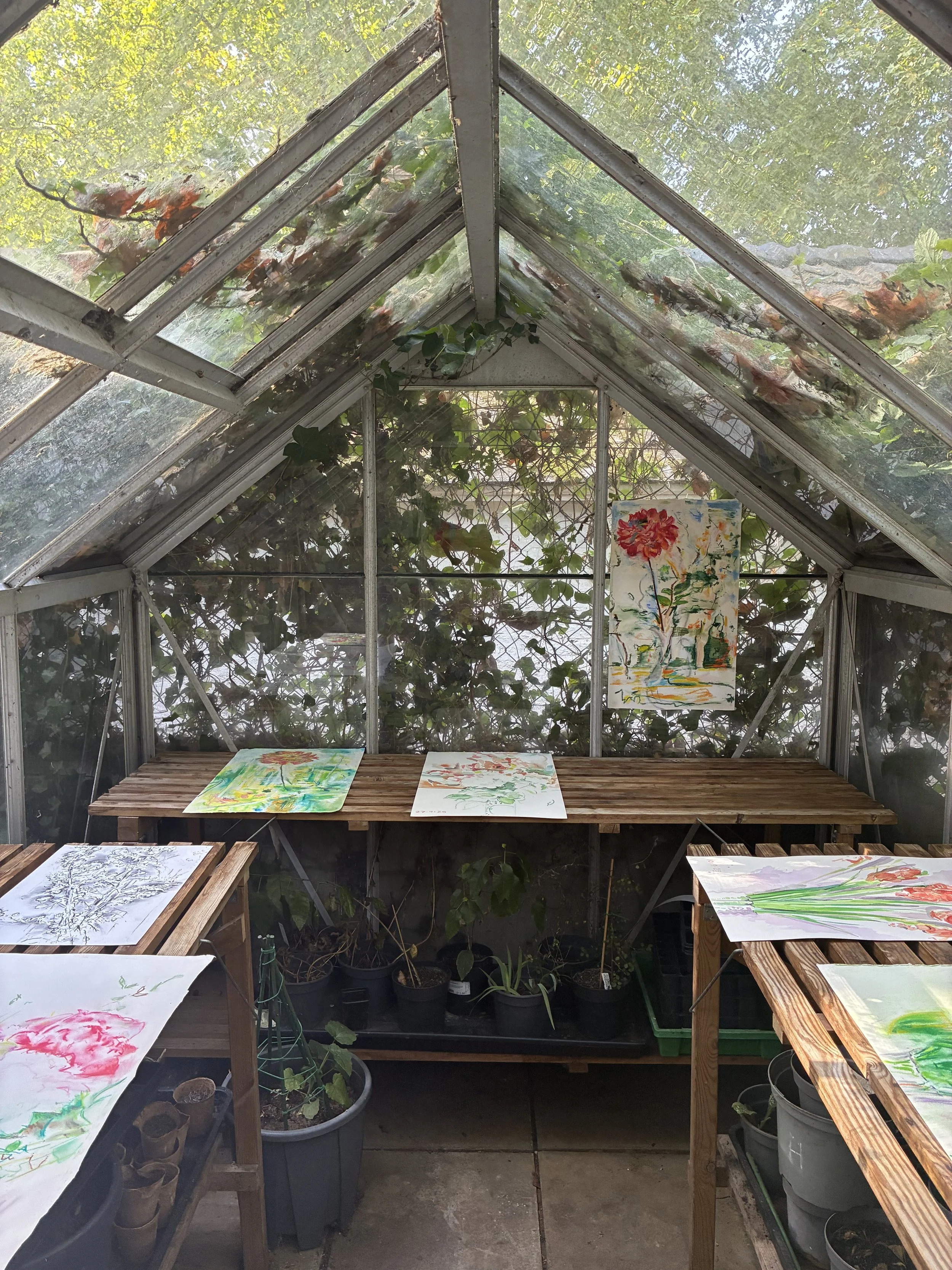 Installation view