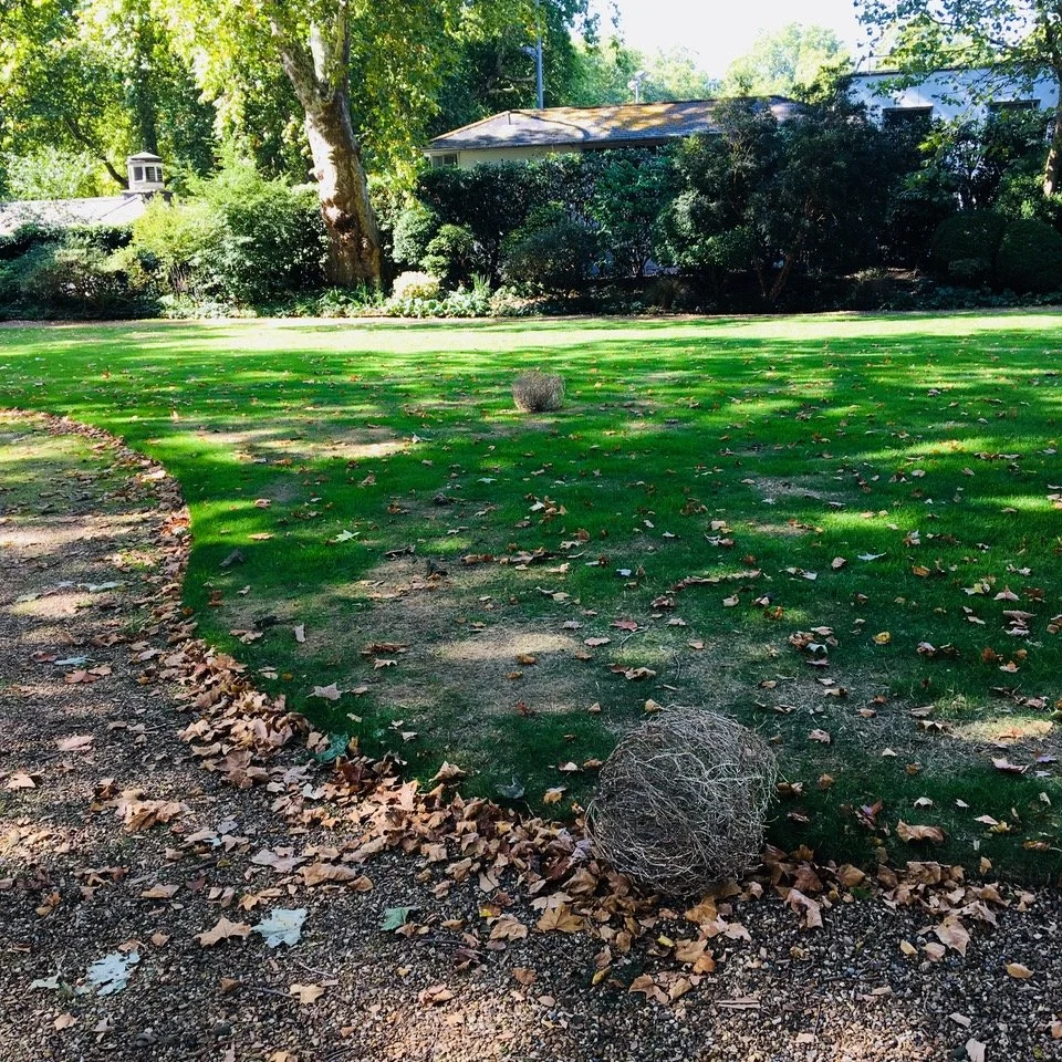 Alison Gill, Mecklenburgh Square Garden Project, 2018. 4.jpeg