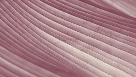 Holdings e IVA Dual: o novo custo da locação de imóveis