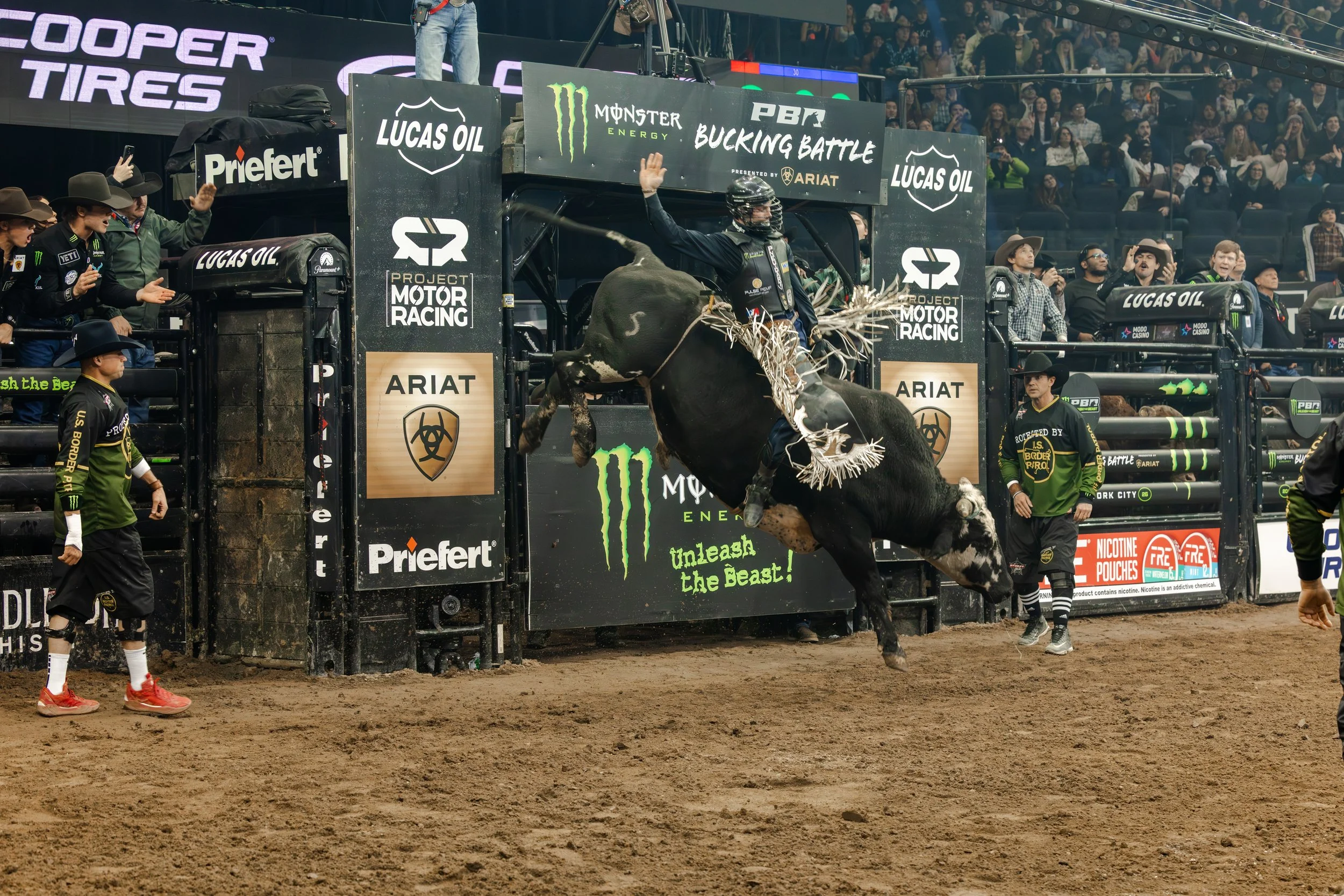 PBR January 5, 2026 at Madison Square Garden