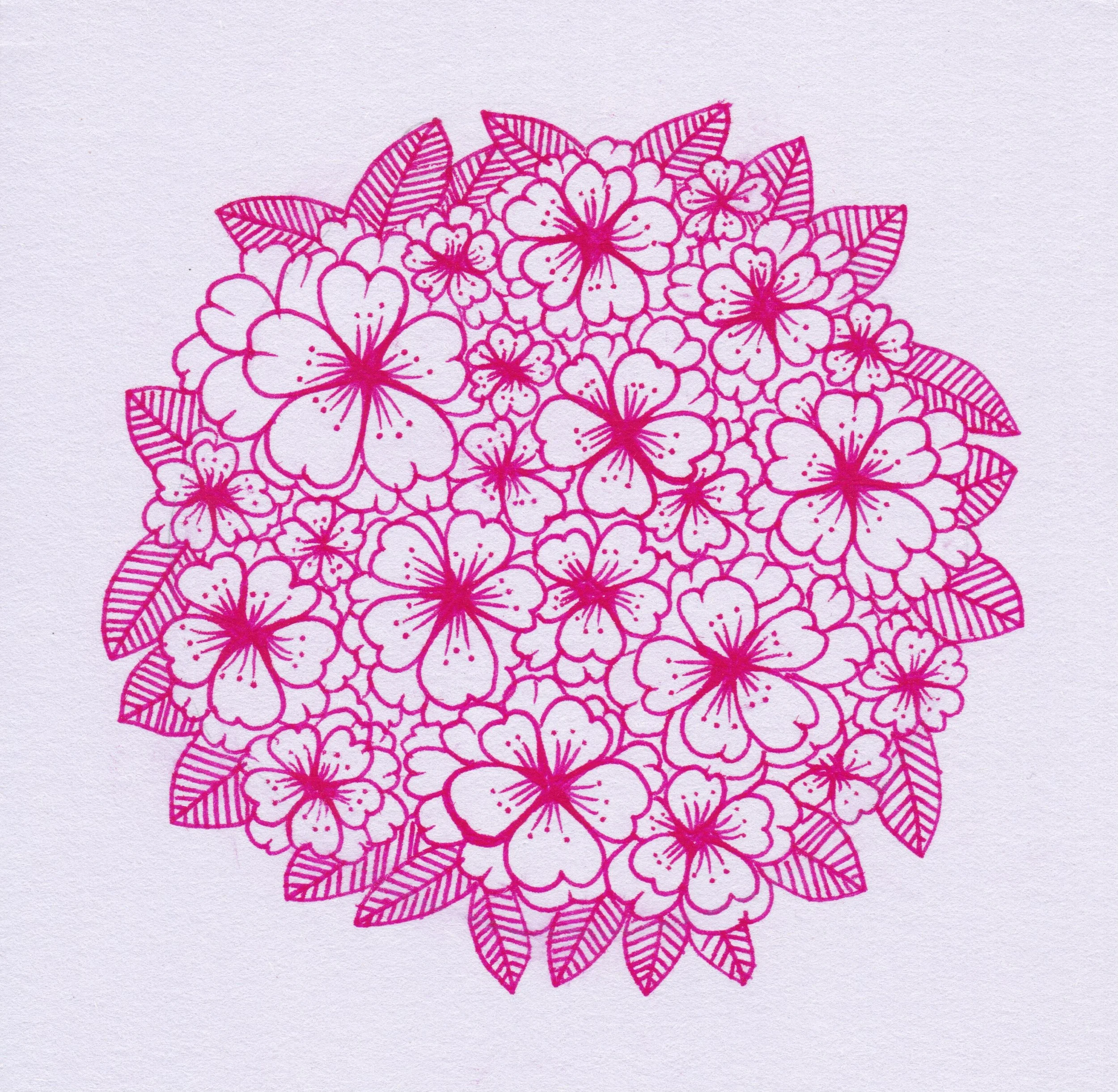 Cherry Blossom.jpeg