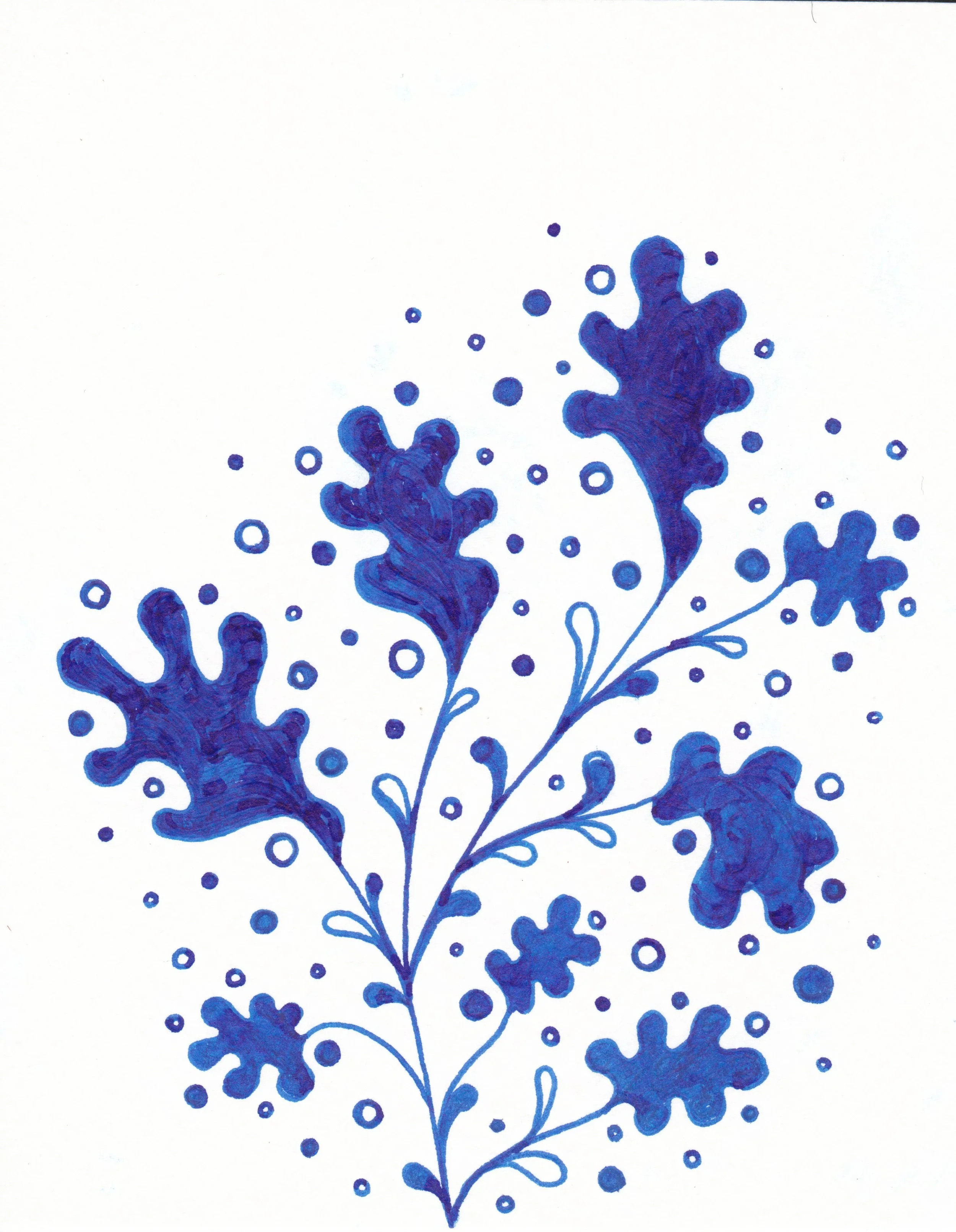 Blue Coral.jpeg