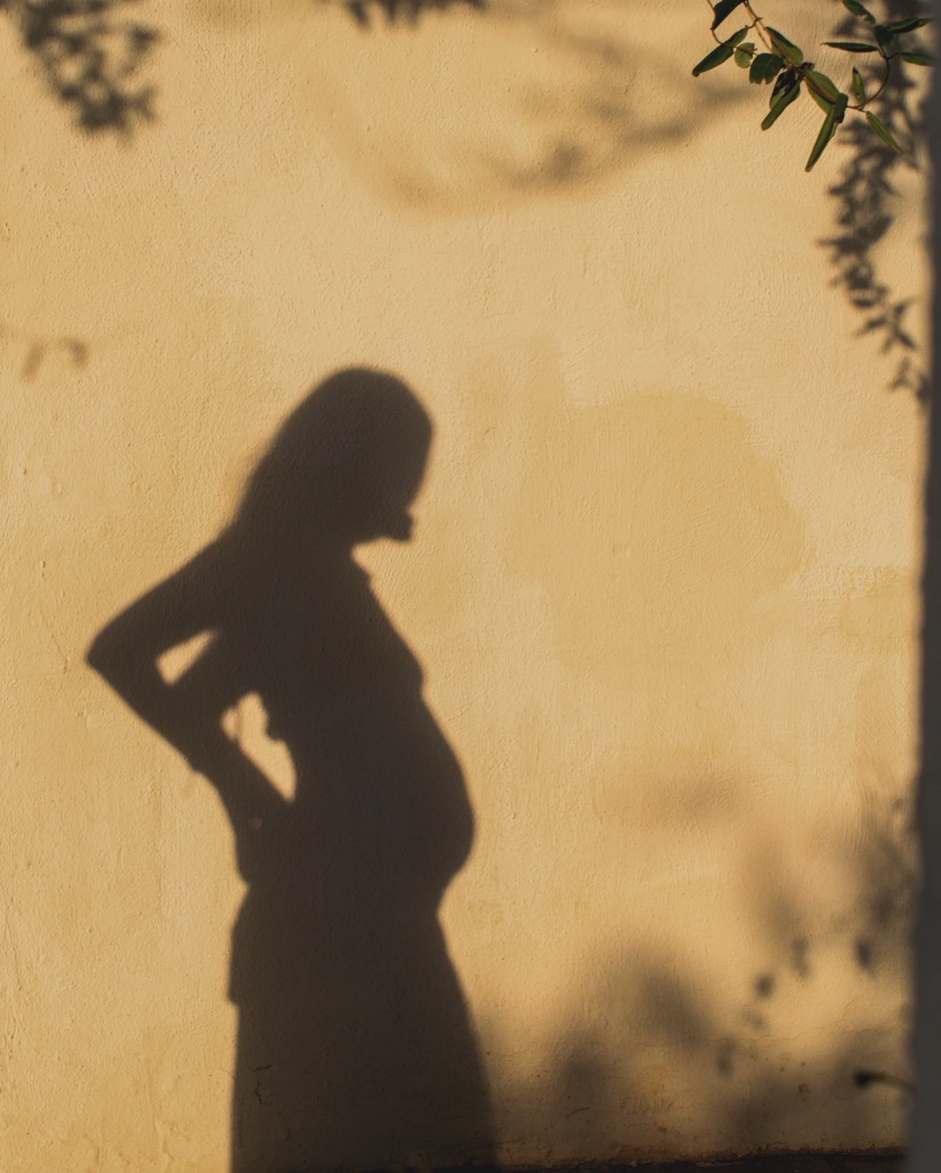 Shadow of a pregnant woman with her hand on her hip, projected onto a yellow wall with some leaves in the upper right corner.