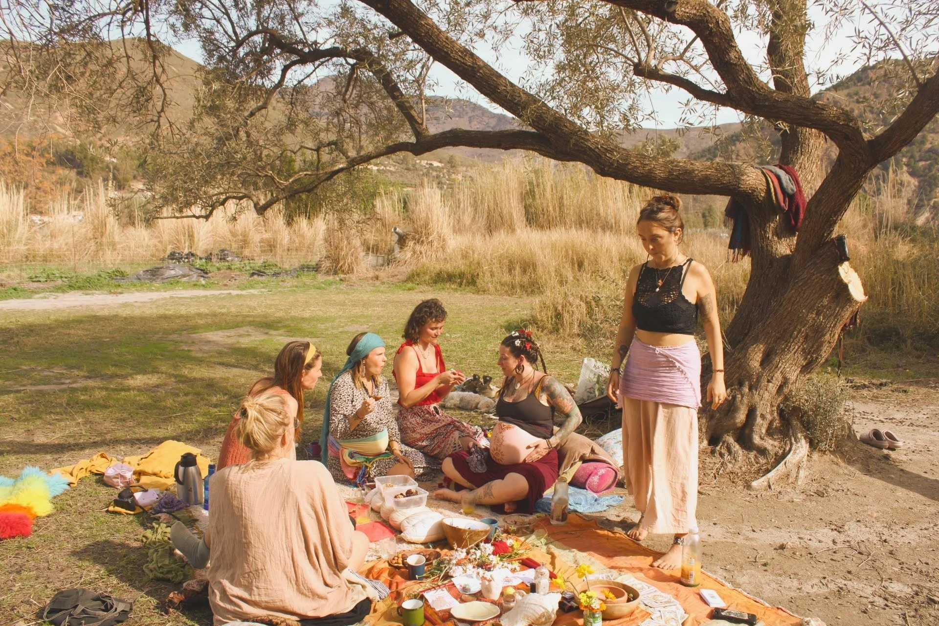 Group of women having a picnic outdoors under a large tree with mountains in the background.
