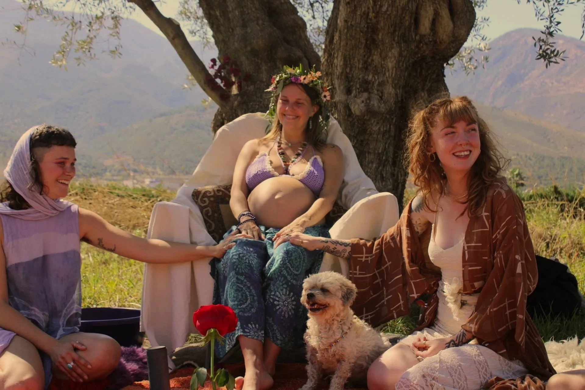 Four women and a dog sitting outdoors near a large tree on a sunny day. One woman, pregnant with a floral wreath, is seated in a chair with two women touching her legs, all three smiling. The fourth woman, in a brown jacket, is sitting on the grass with the dog in front of her. Mountains are visible in the background.