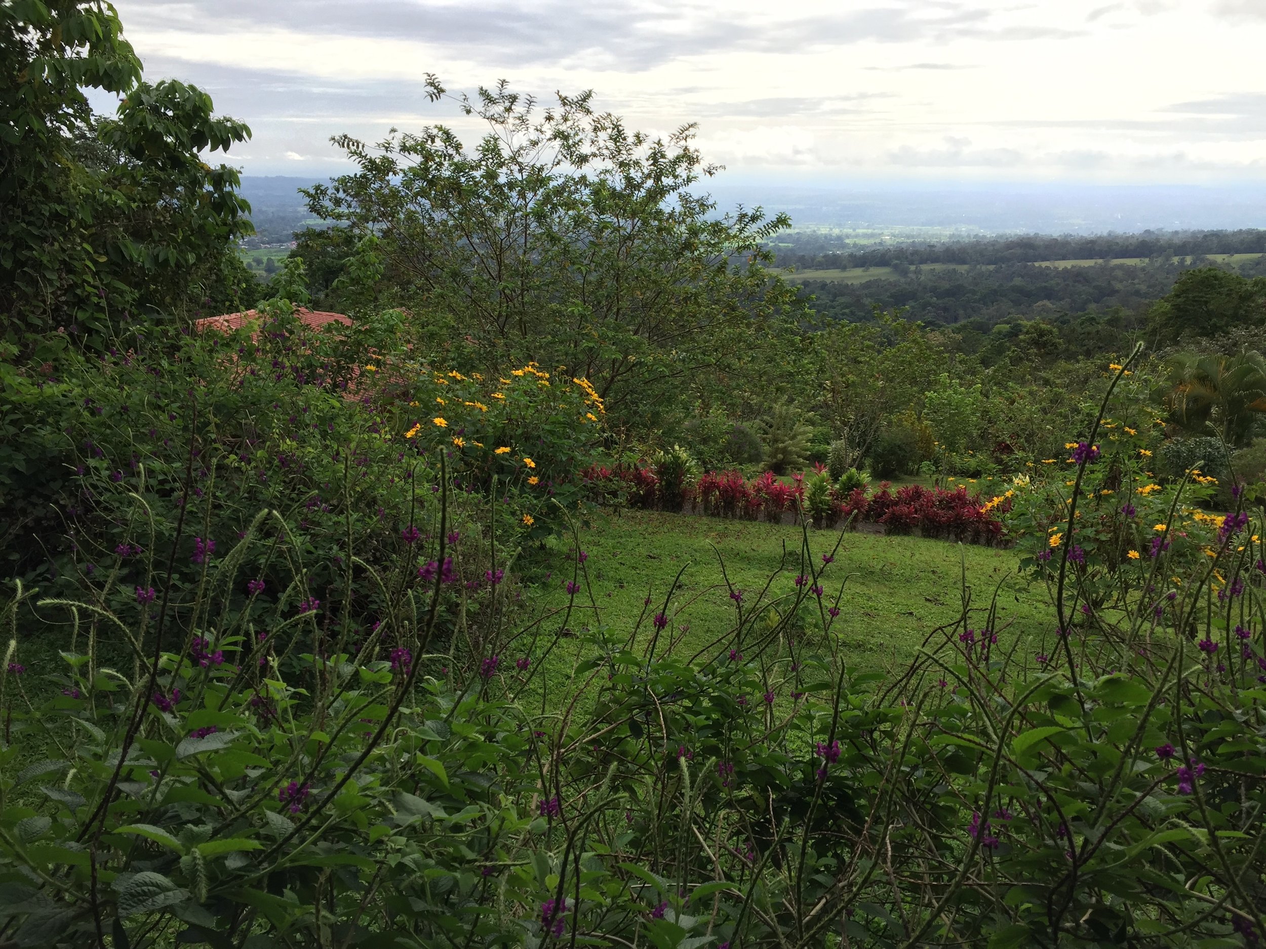 IMG_0211.jpeg