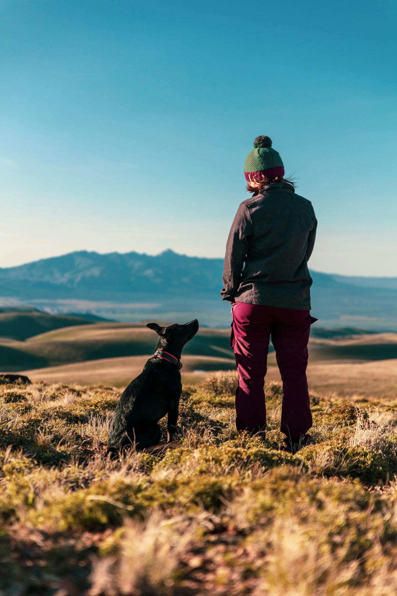A person with a colorful knit hat and dark jacket stands in a field with a black dog, overlooking rolling hills and distant mountains during daytime.