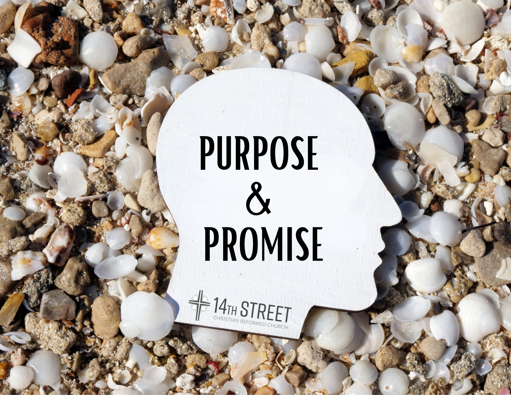 Purpose and Promise