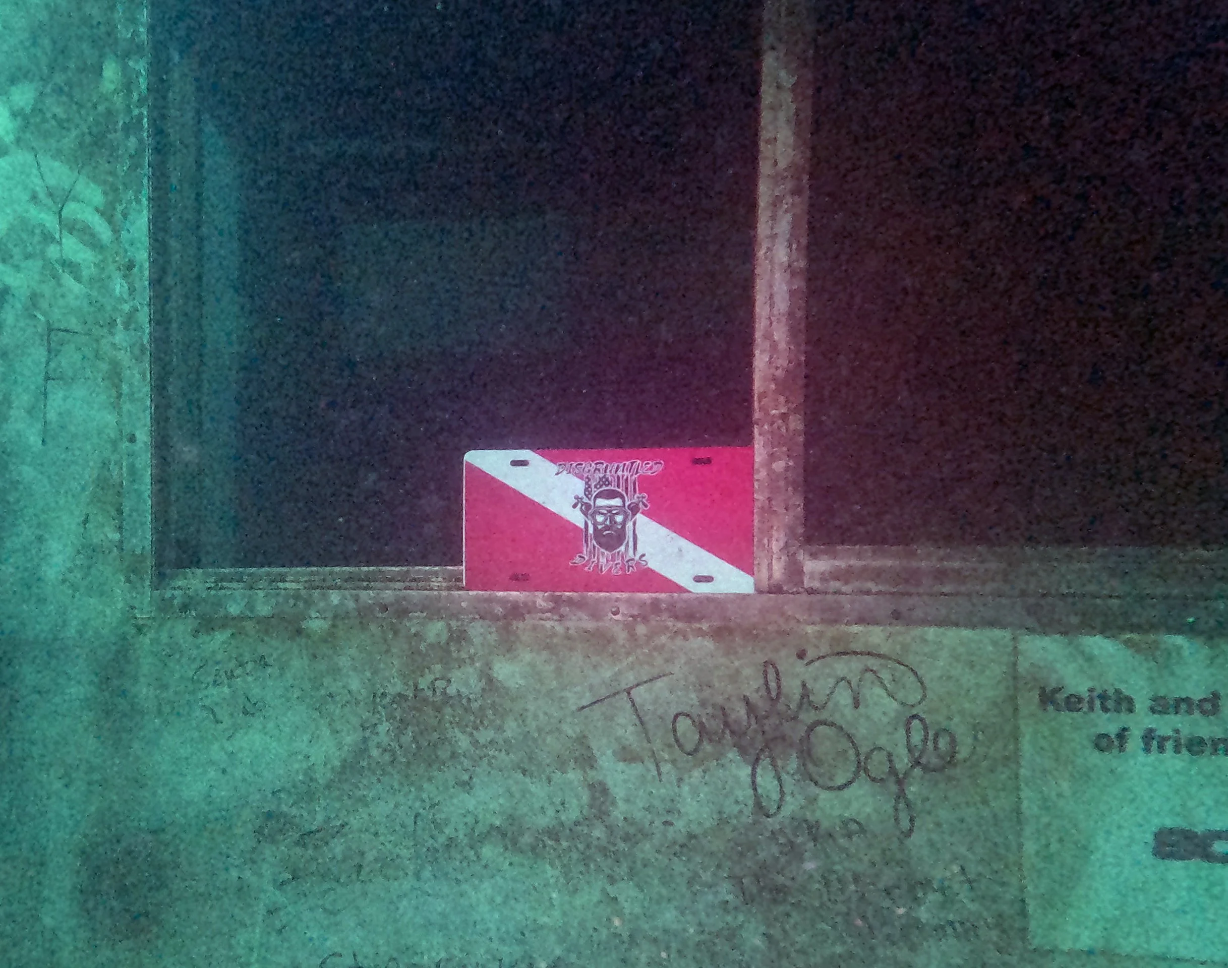 A pink license plate with a black Rastafarian man illustration and the words "Discipline Digger" resting on a concrete ledge in a dimly lit area.