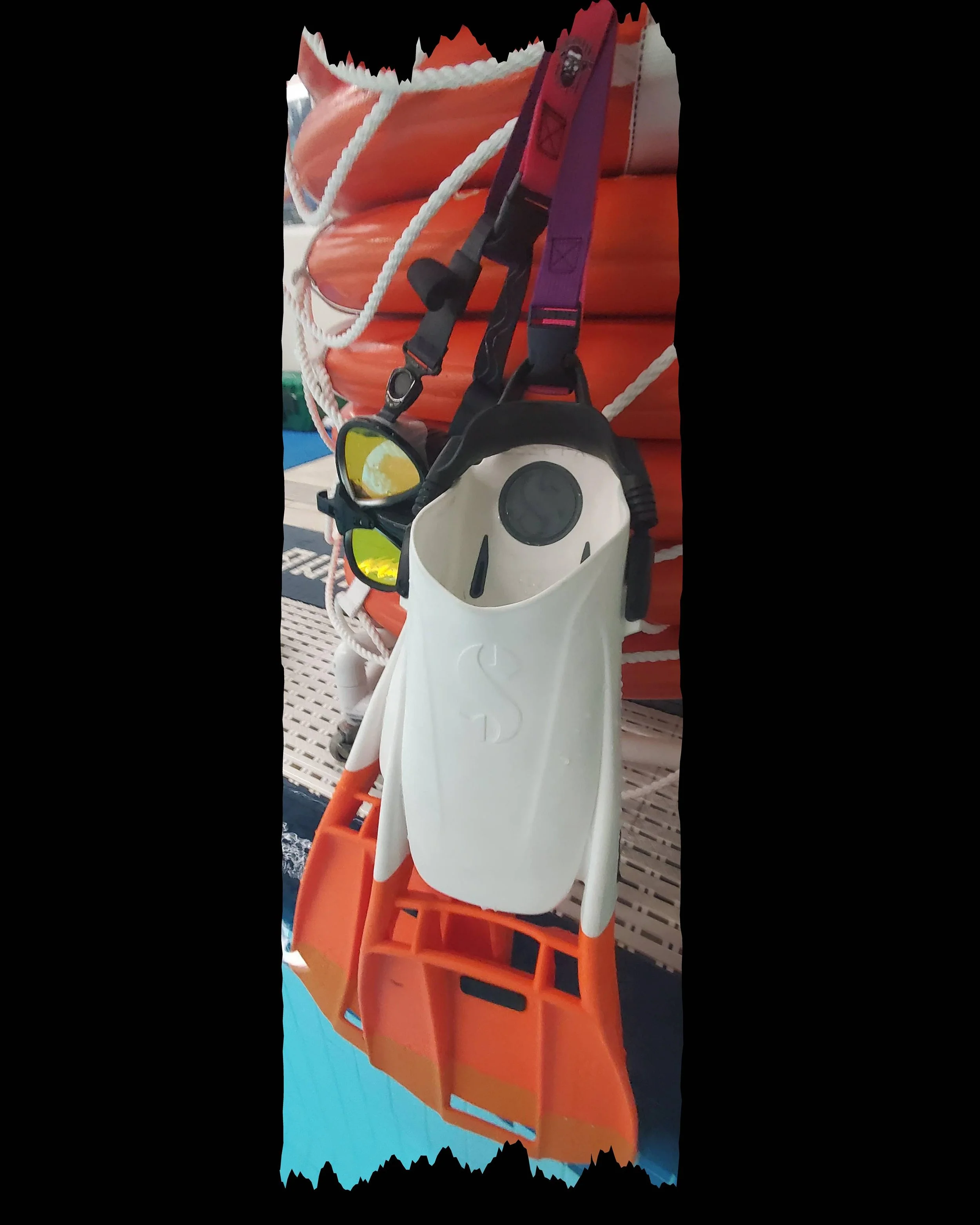 Pink and Purple GG5.png