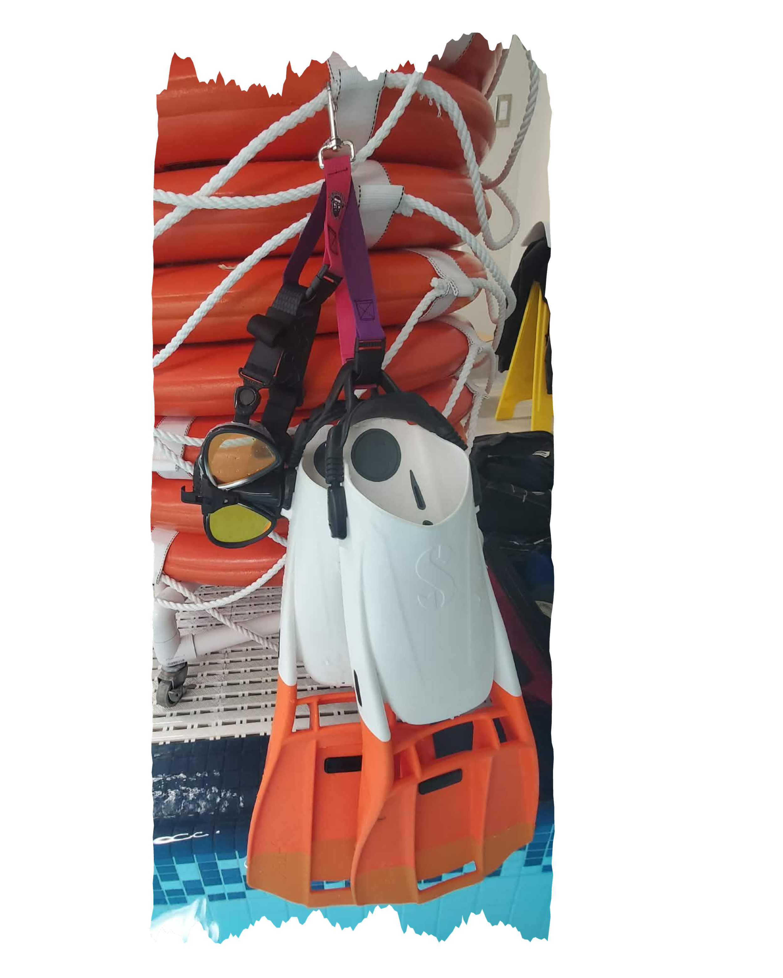 Pink and Purple GG4.png