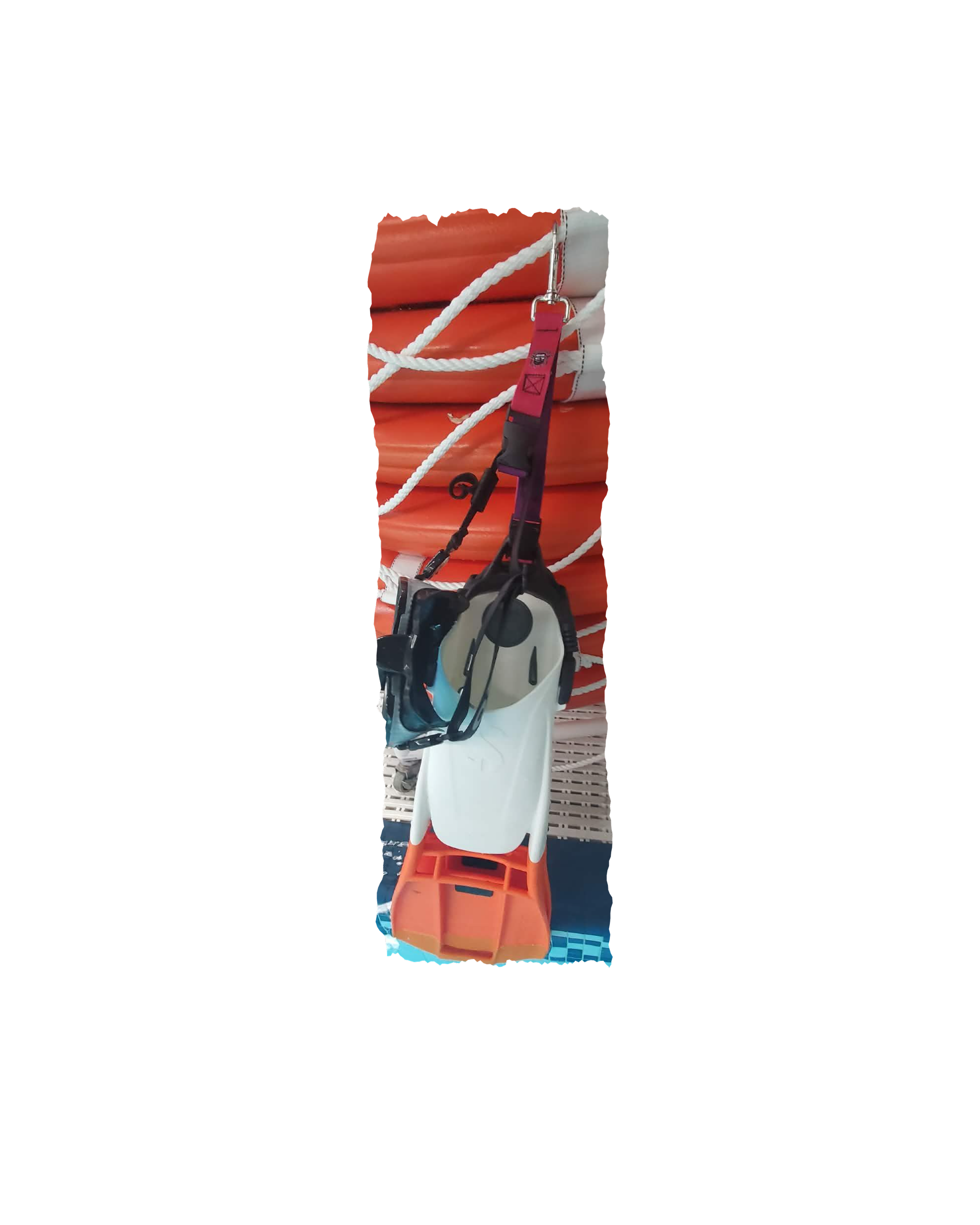 Pink and Purple GG.png