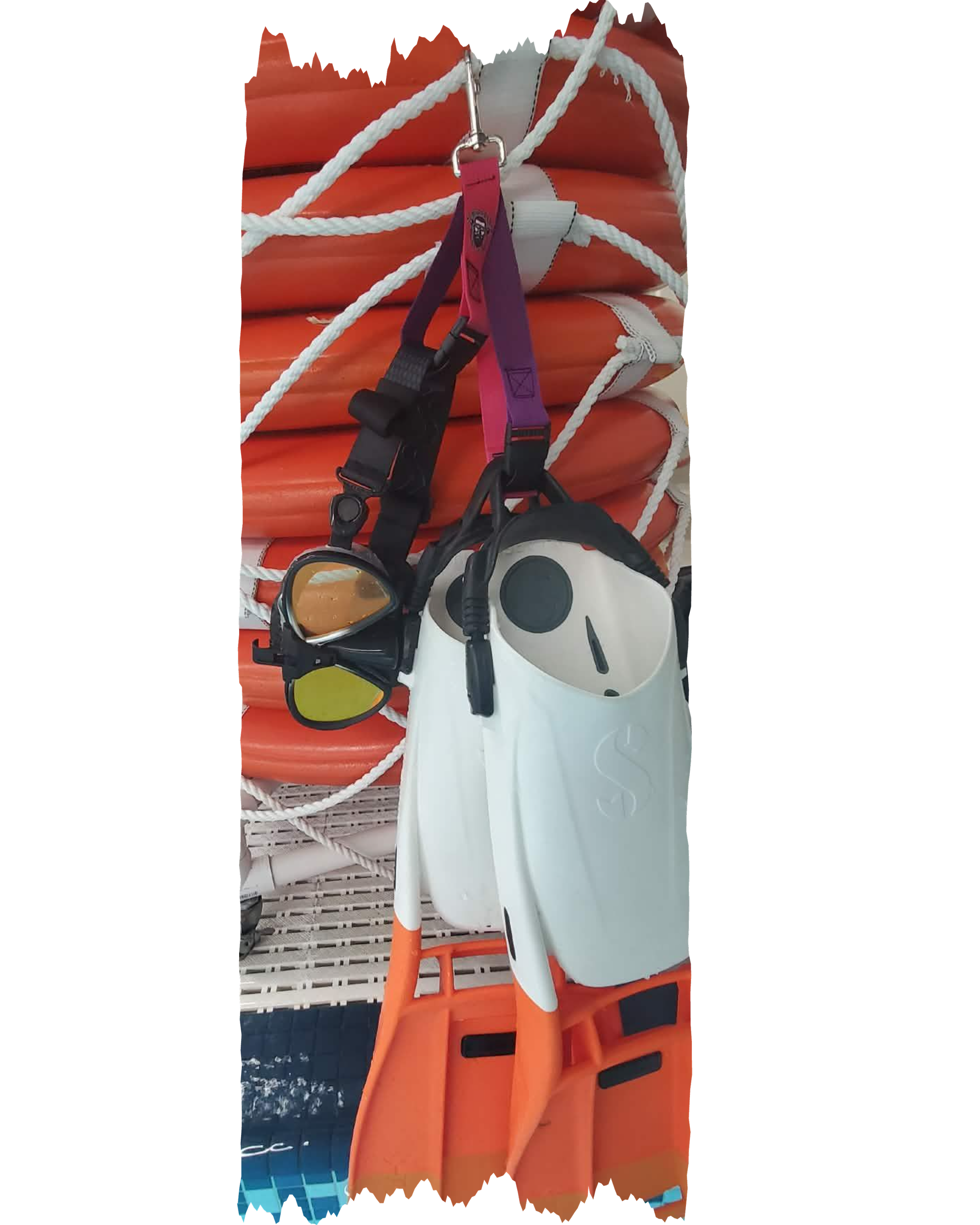 Pink and Purple GG6.png