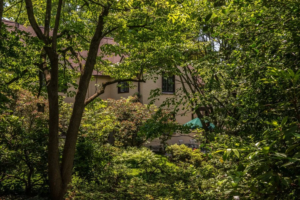 6.8.17_Banbury-7.jpg