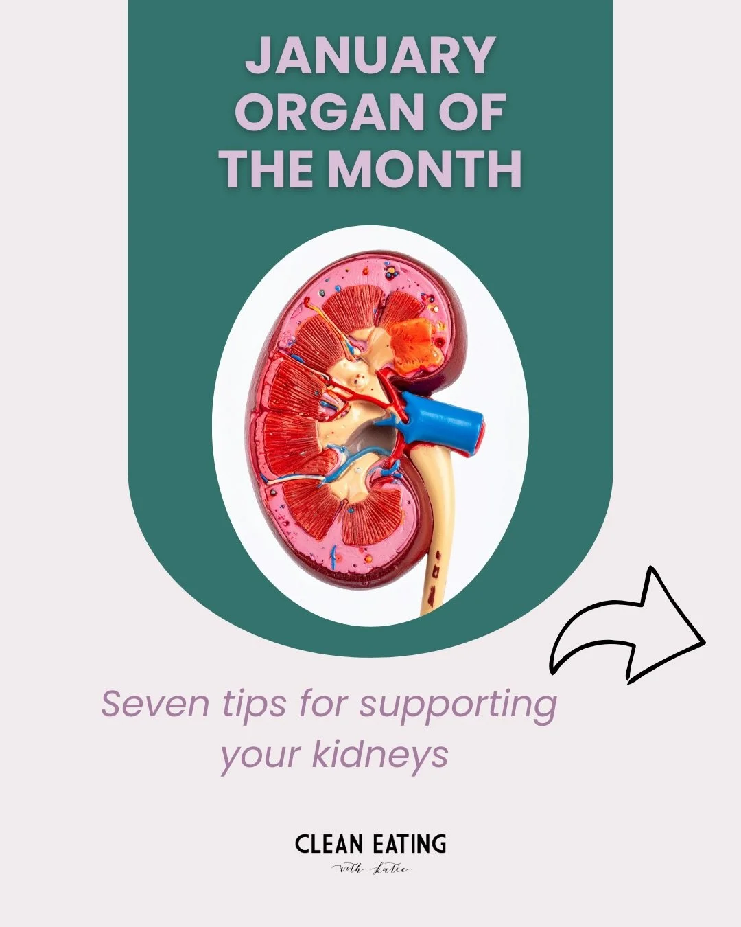 Super excited to introduce this Organ of the Month series! In January we will focus on the kidneys!

Looking at multiple ways to support these oh-so-important detox organs of the body. 

It&rsquo;s not just about food, but also herbal supports, and t