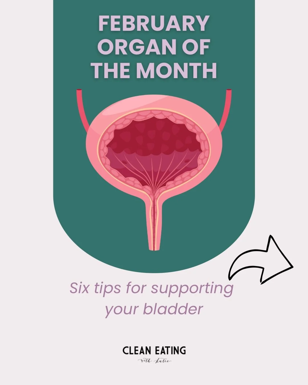 Organ of the Month for February! 
The bladder (and the Kidneys) are the organs we focus on in these winter months. 

It&rsquo;s not just about food, but also herbal supports, the products we choose to bring into our homes, and lifestyle choices we ma