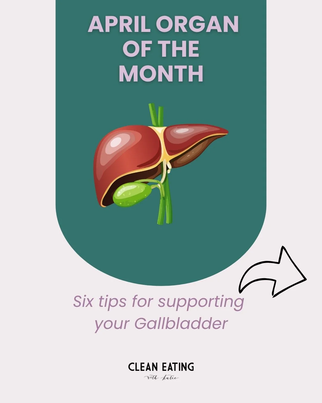 April Organ of the Month - the Gallbladder! 

The liver and the gallbladder work together and their health and function is intimately tied together, so supporting one will support the other.

I cannot emphasize this part enough, having enough stomach