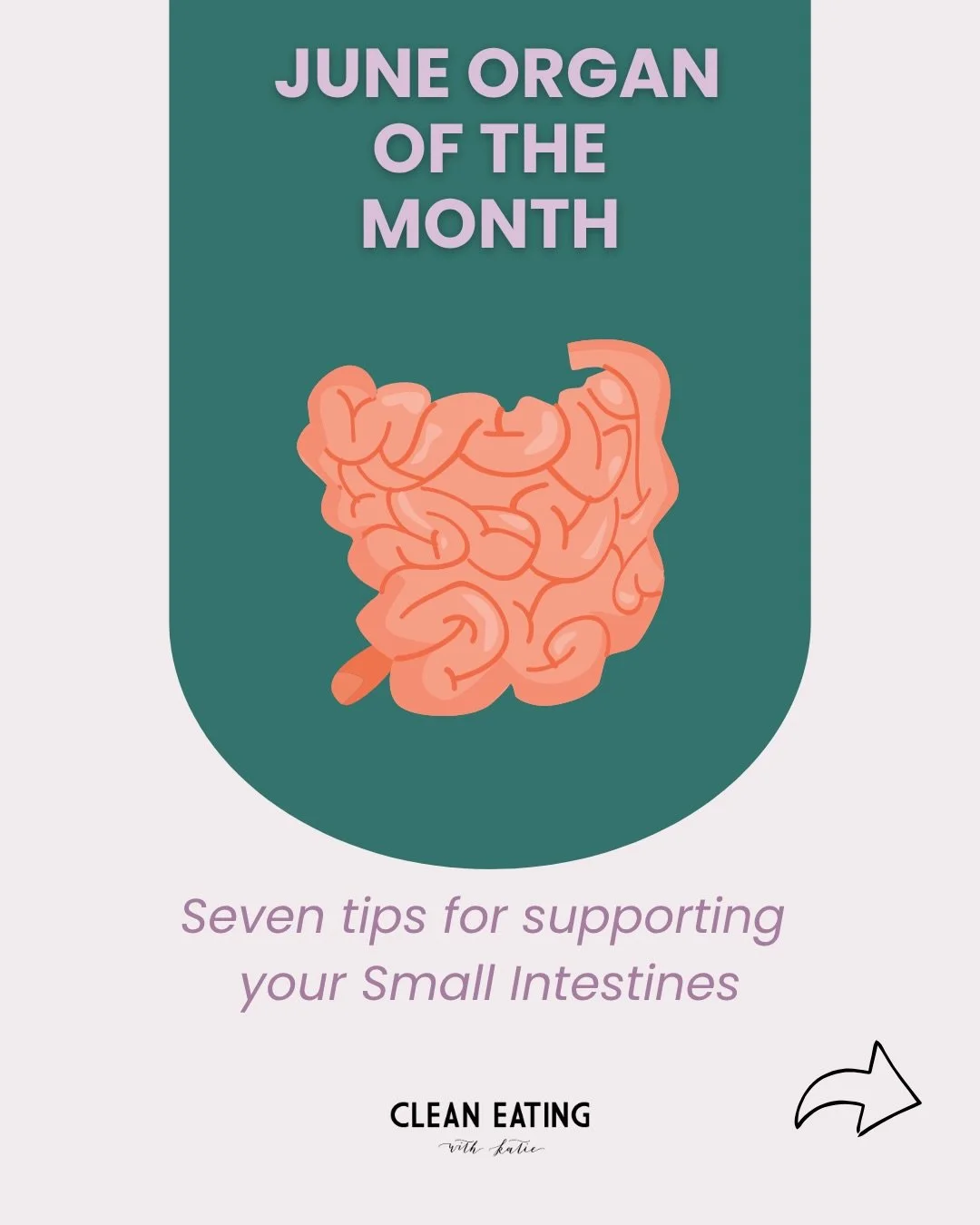 June organ of the month - the small intestines! 

So many things that you can do to support your organs are free, or inexpensive, or a simple swaps you can make. Health does not have to be expensive!

Personally, I&rsquo;m always focusing on chewing 