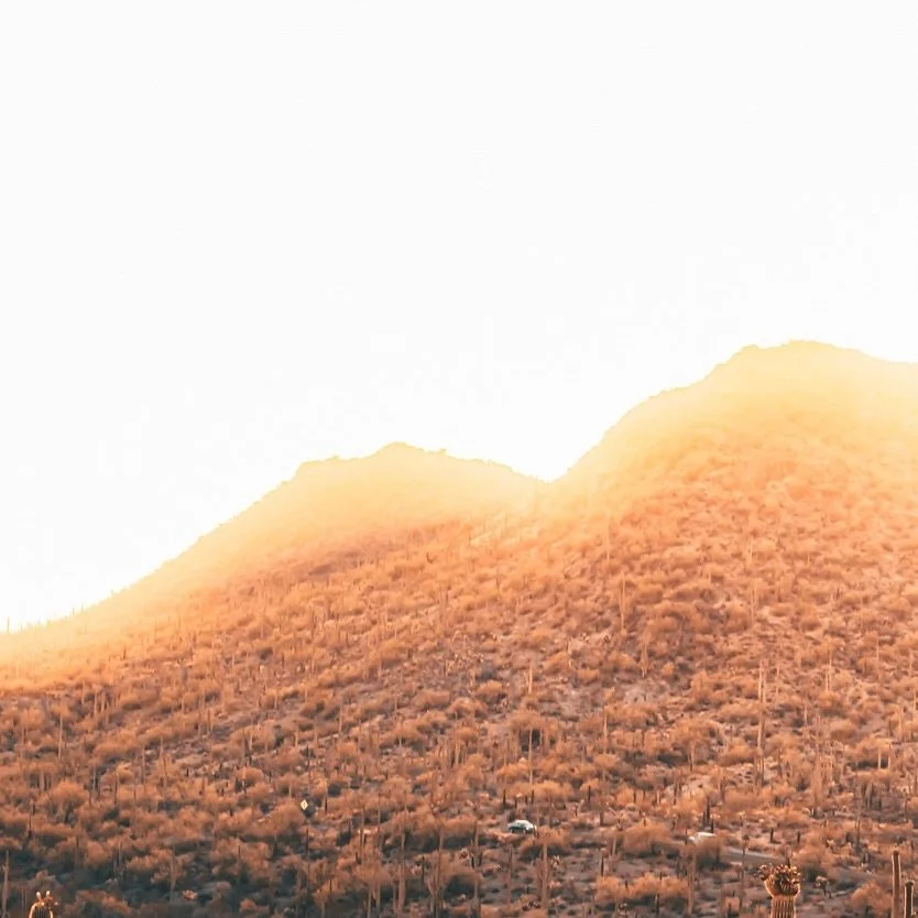Dreamy view into Saguaro West from W Picture Rocks Rd at the magic hour&hellip;

#saguaro #tucson #cactus #sonorandesert #anamorphicphotography #anamorphiclens #desertscape #mountains