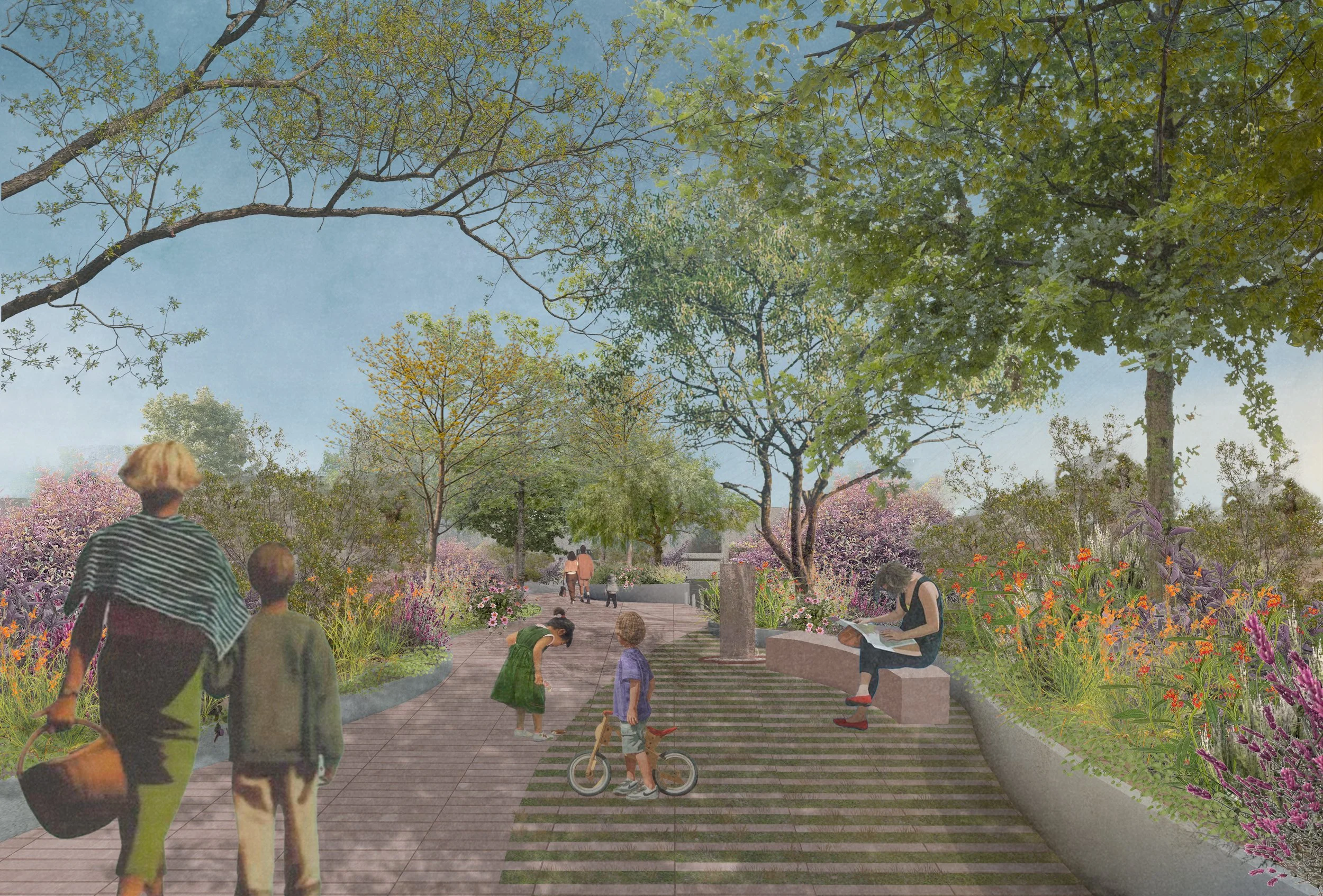 Paisaje Plaza La Luciérnaga