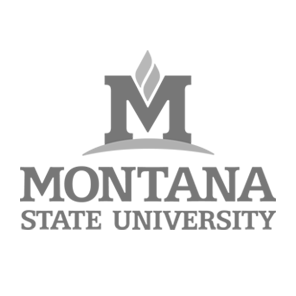 Montana State University Logo