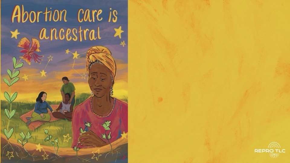 Repro TLC ppt template_Seeding Abortion Access (1).jpg