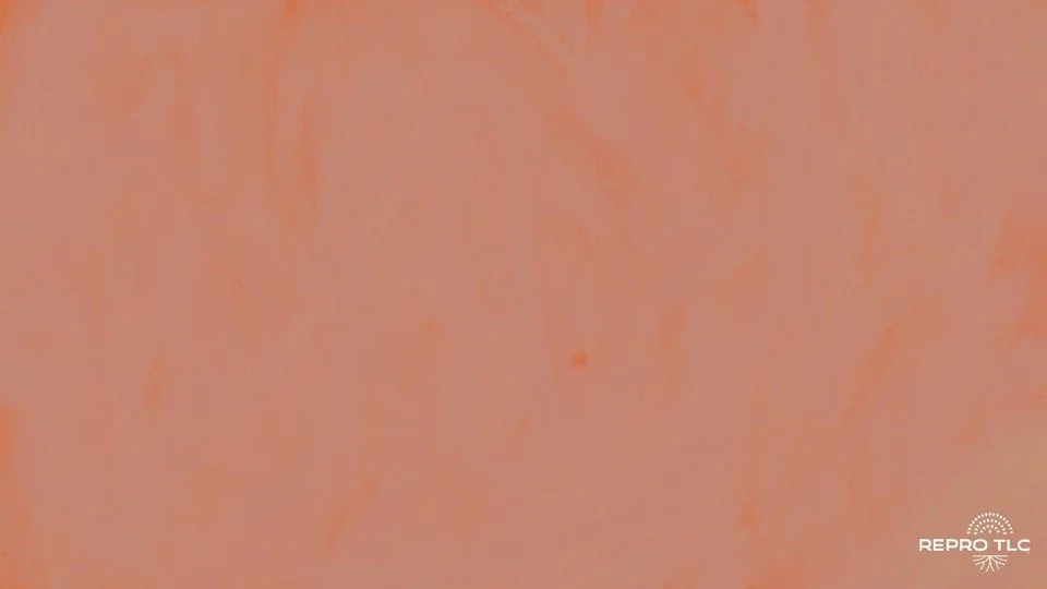 Repro TLC ppt template_Seeding Abortion Access (1).jpg