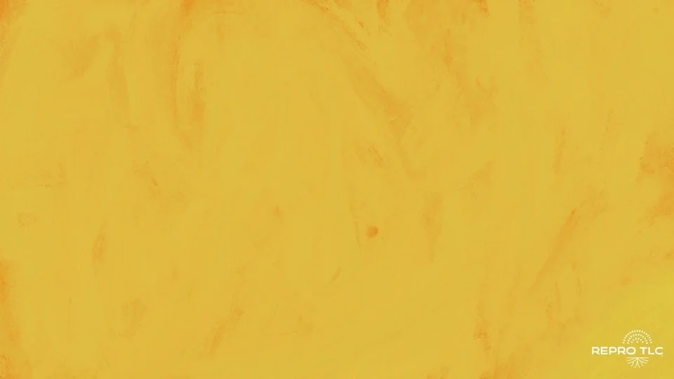 DOWNLOAD IN PPT_ Repro TLC ppt template_Seeding Abortion Access.jpg