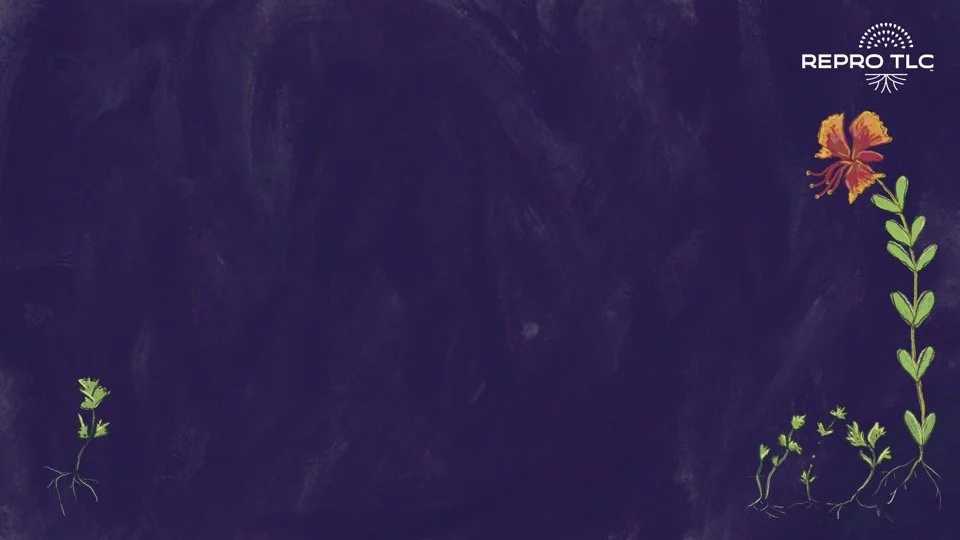 Repro TLC ppt template_Seeding Abortion Access (1).jpg