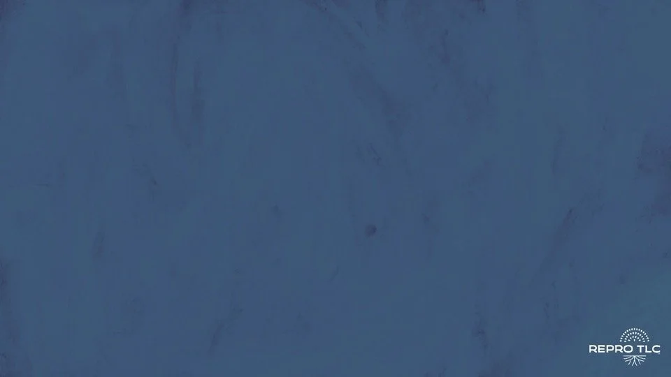 Repro TLC ppt template_Seeding Abortion Access (1).jpg